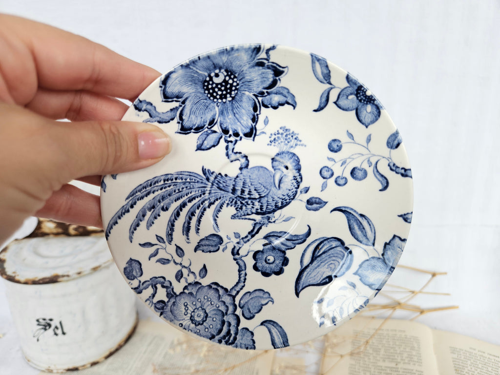 Lot de 2 tasses à café Villeroy & Boch Saar « Paradiso »