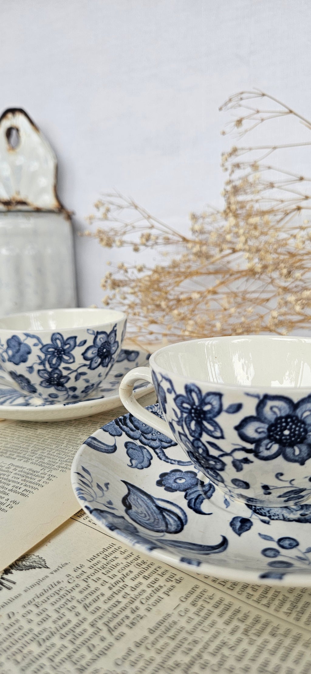 Lot de 2 tasses à café Villeroy & Boch Saar « Paradiso »