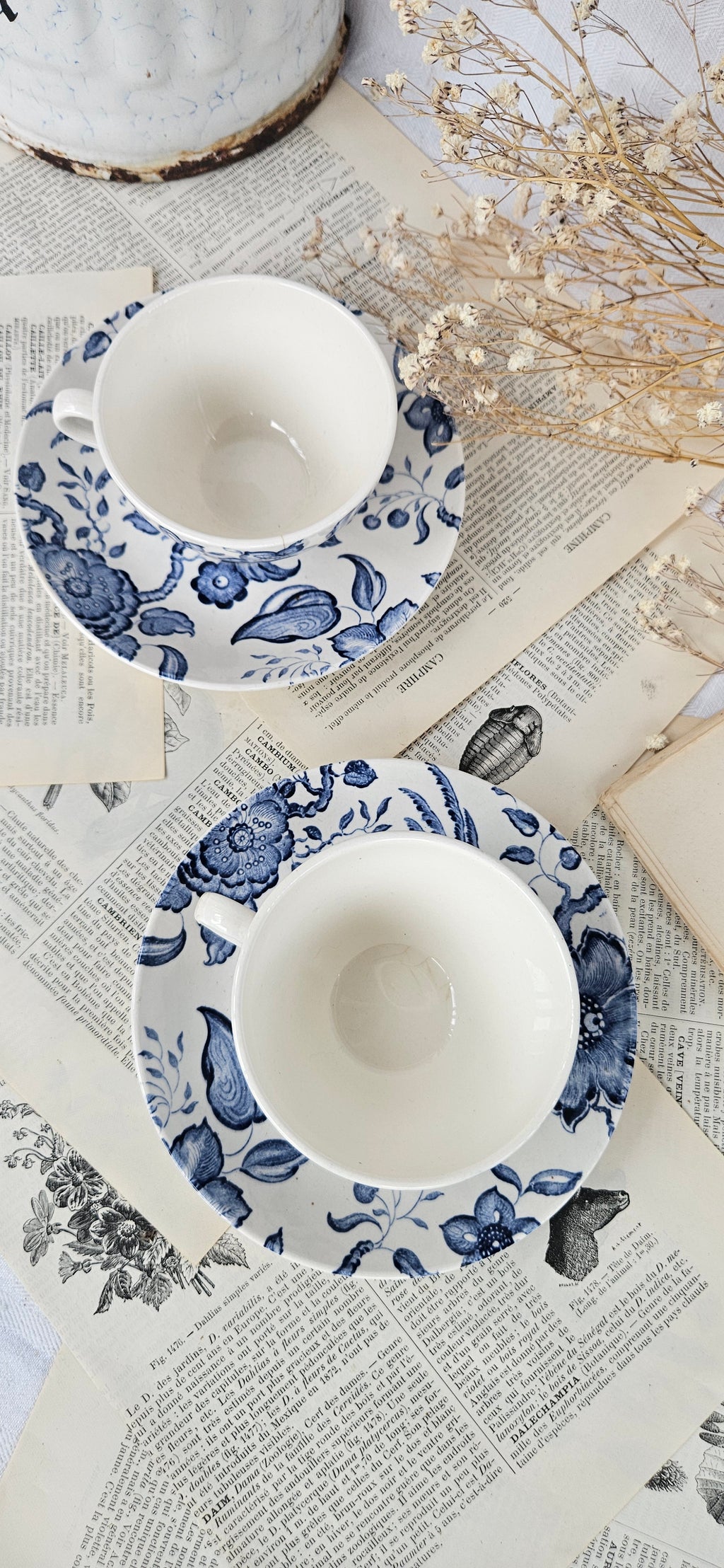 Lot de 2 tasses à café Villeroy & Boch Saar « Paradiso »