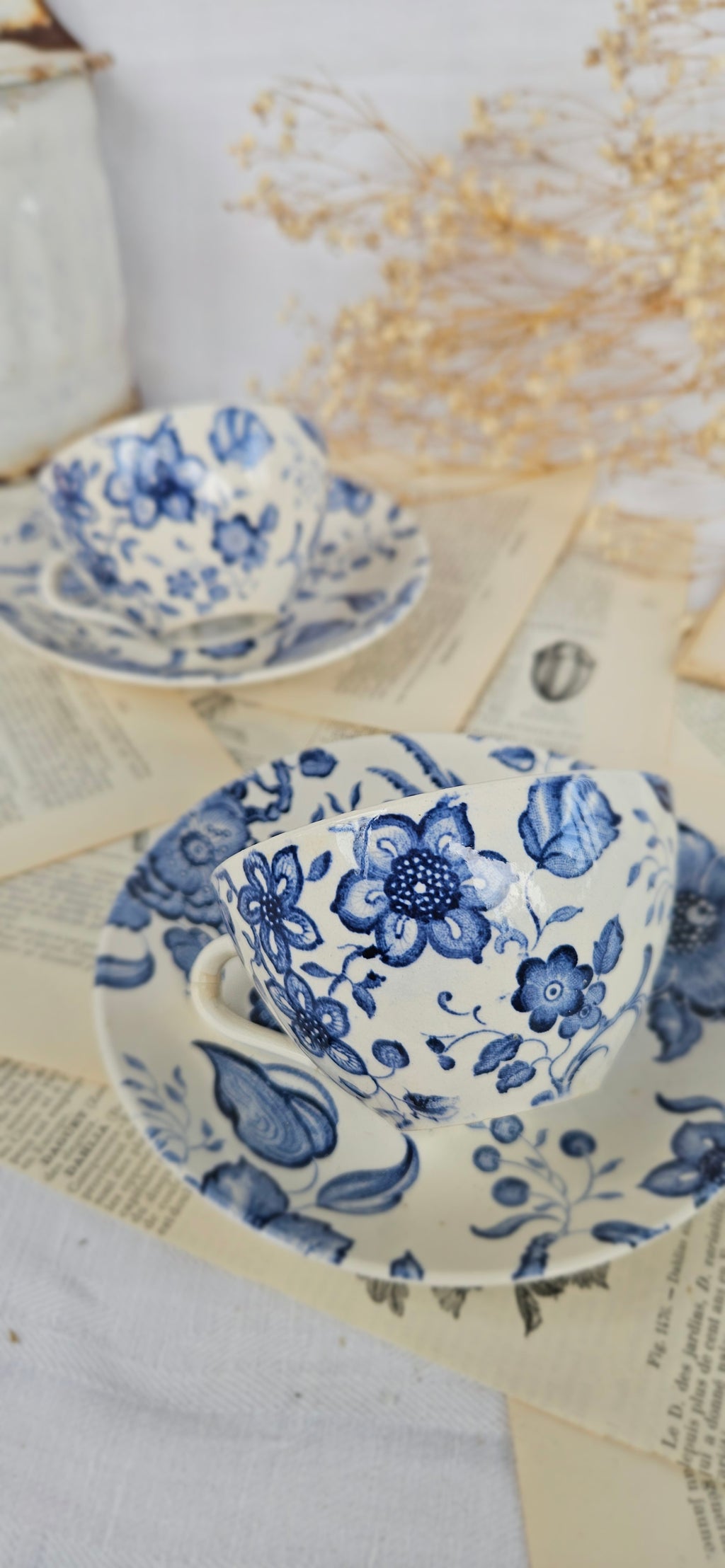 Lot de 2 tasses à café Villeroy & Boch Saar « Paradiso »