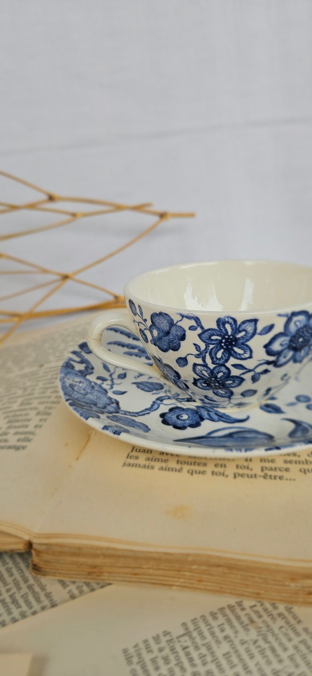 Lot de 2 tasses à café Villeroy & Boch Saar « Paradiso »