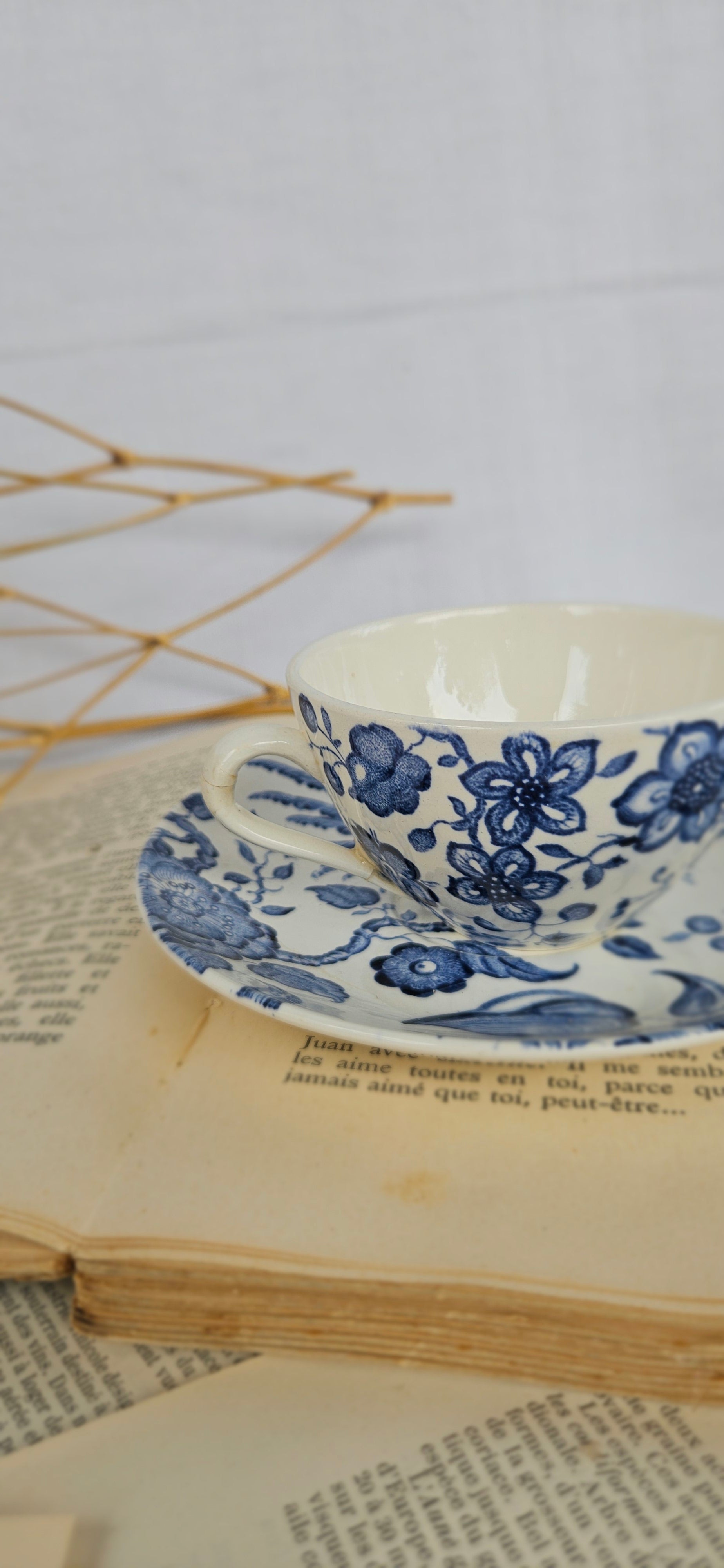 Lot de 2 tasses à café Villeroy & Boch Saar « Paradiso »