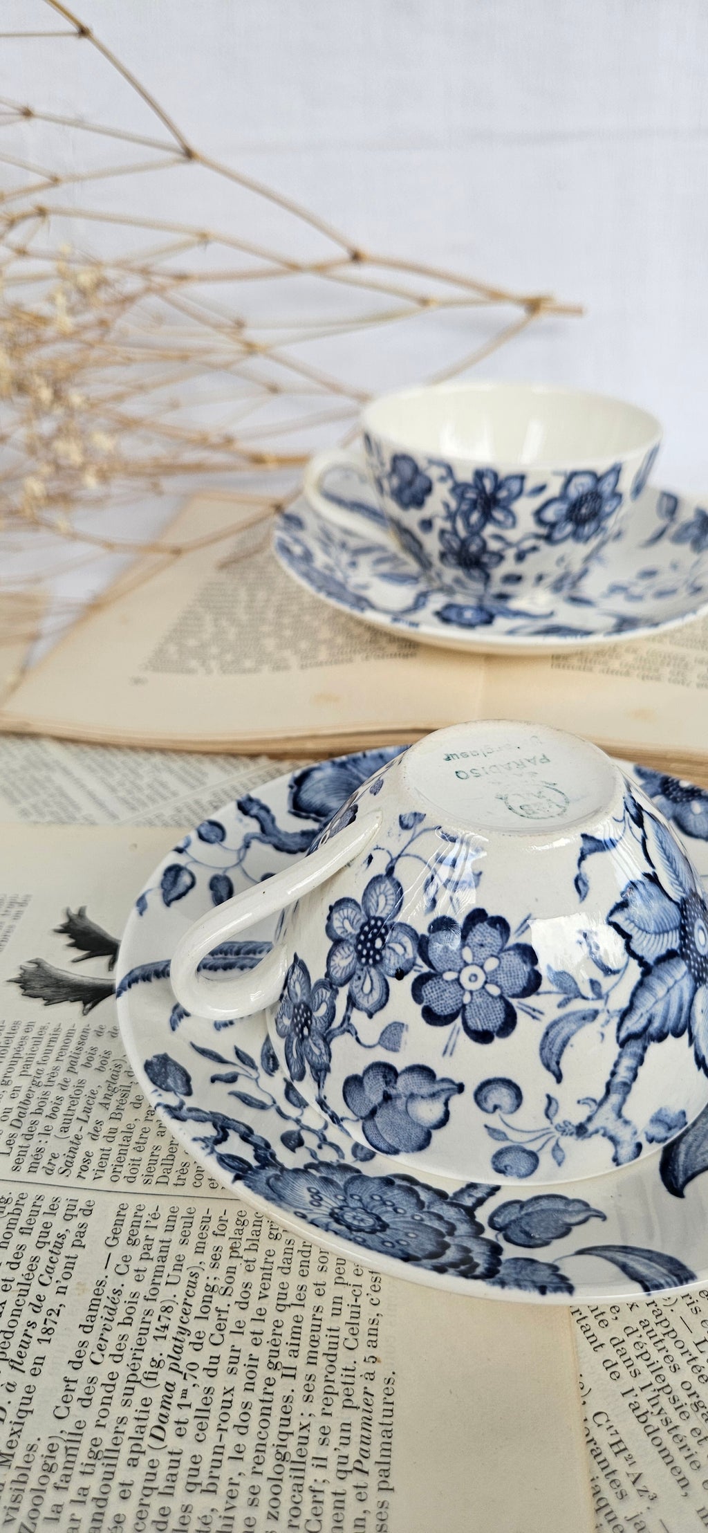 Lot de 2 tasses à café Villeroy & Boch Saar « Paradiso »
