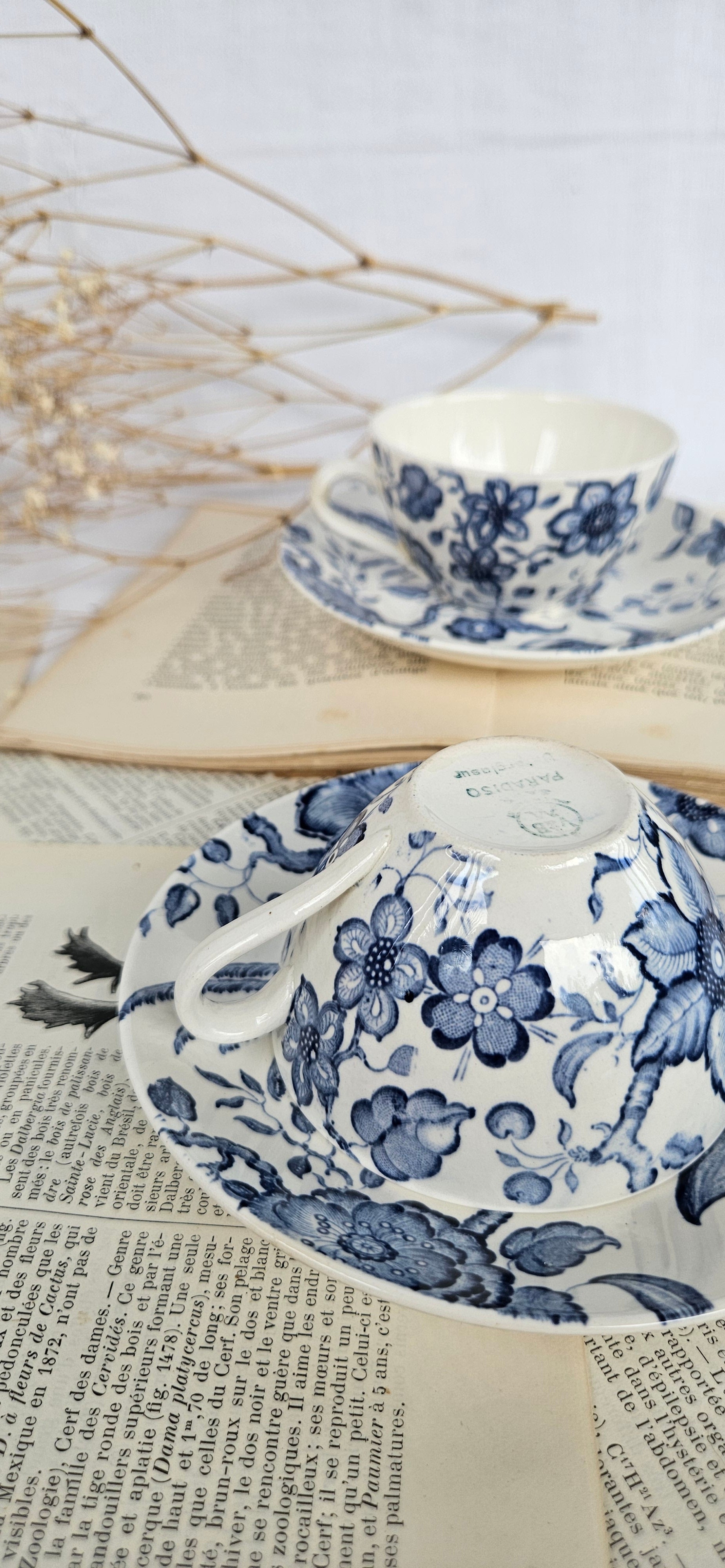 Lot de 2 tasses à café Villeroy & Boch Saar « Paradiso »