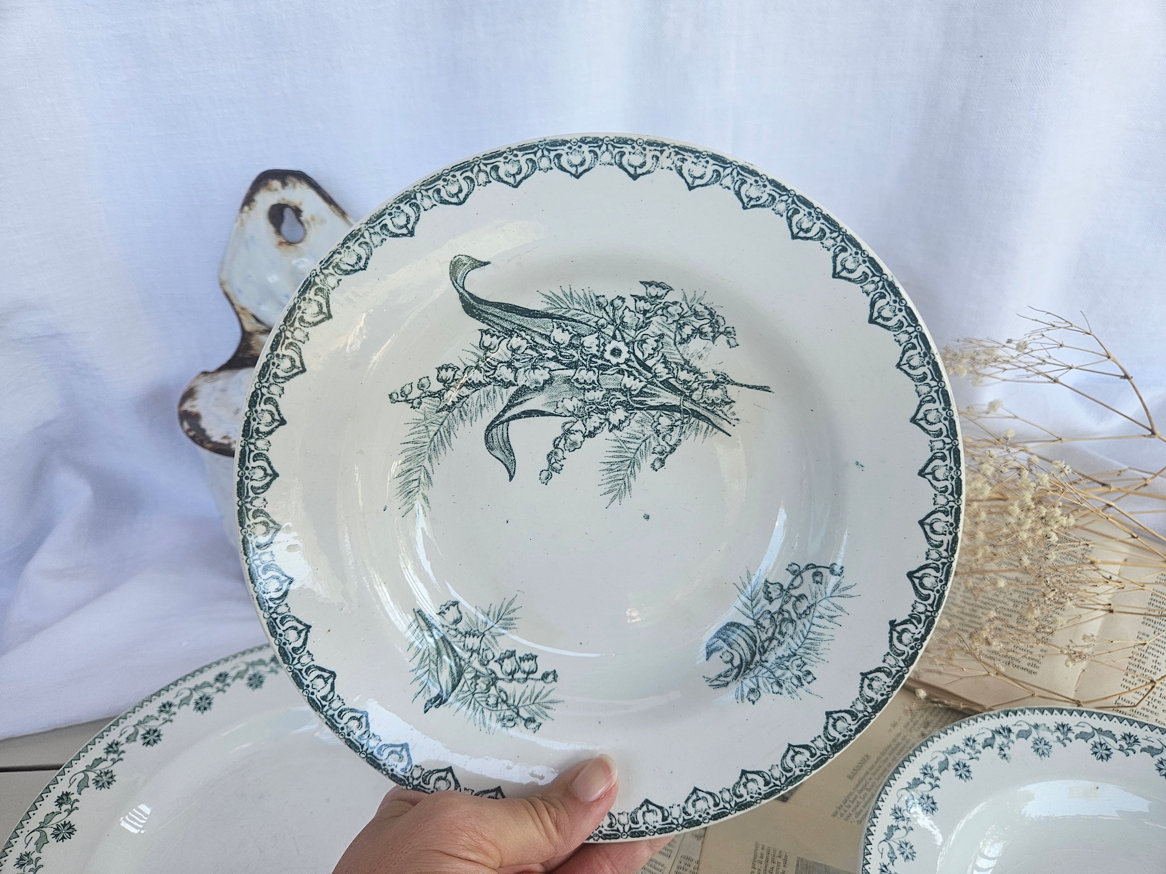 Lot de 3 assiettes creuses anciennes Terre de Fer