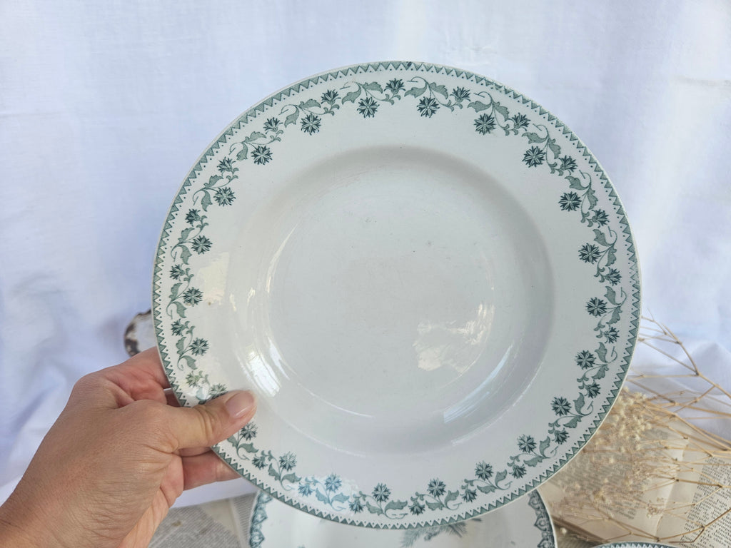 Lot de 3 assiettes creuses anciennes Terre de Fer