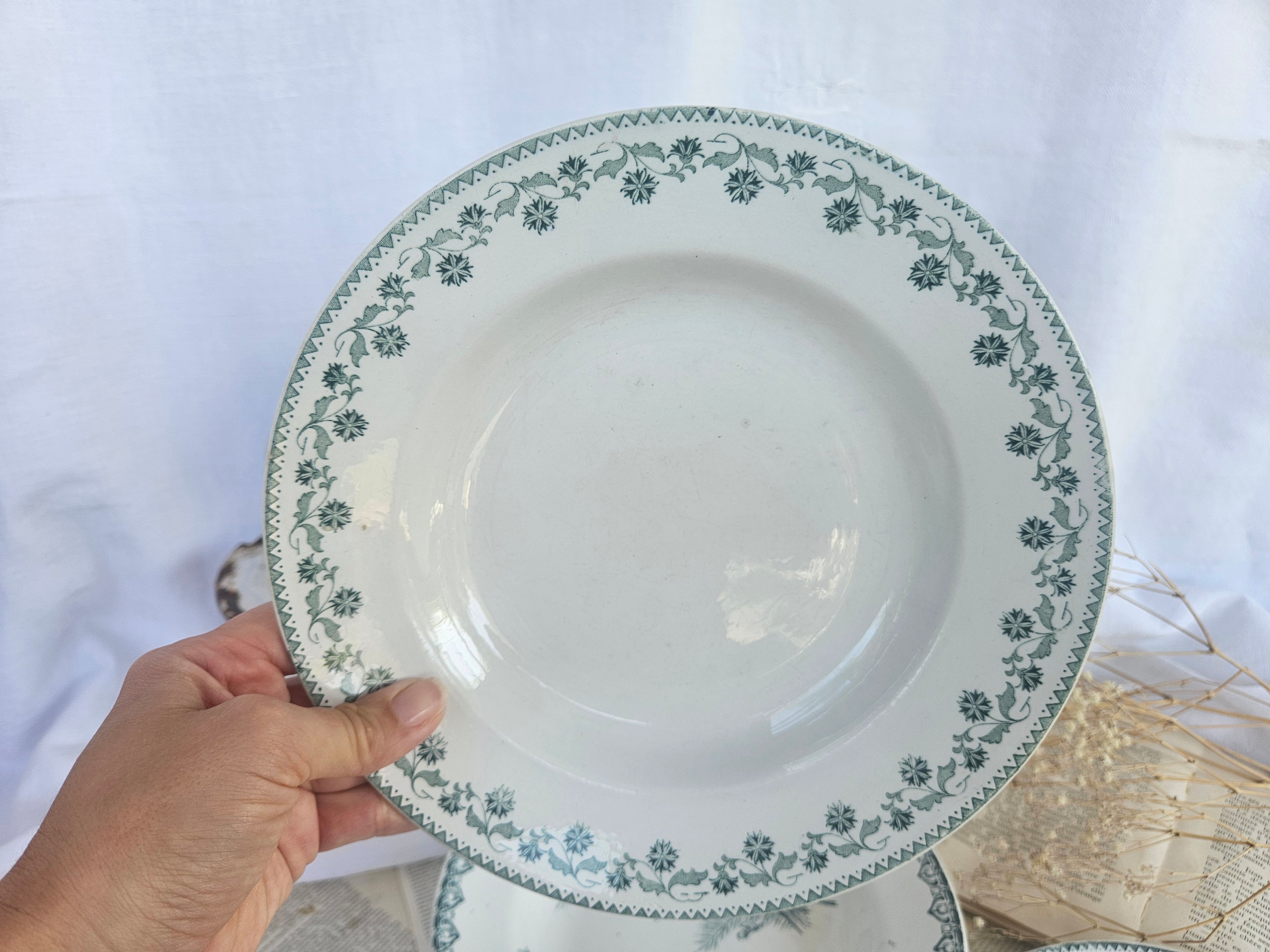 Lot de 3 assiettes creuses anciennes Terre de Fer