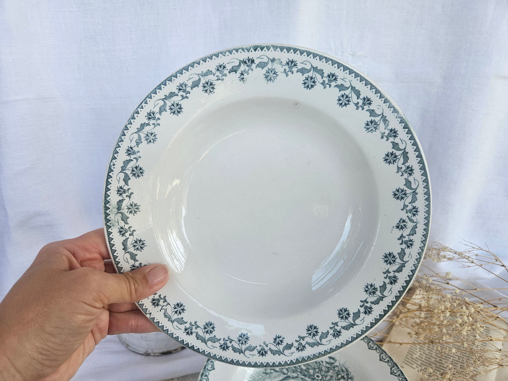 Lot de 3 assiettes creuses anciennes Terre de Fer