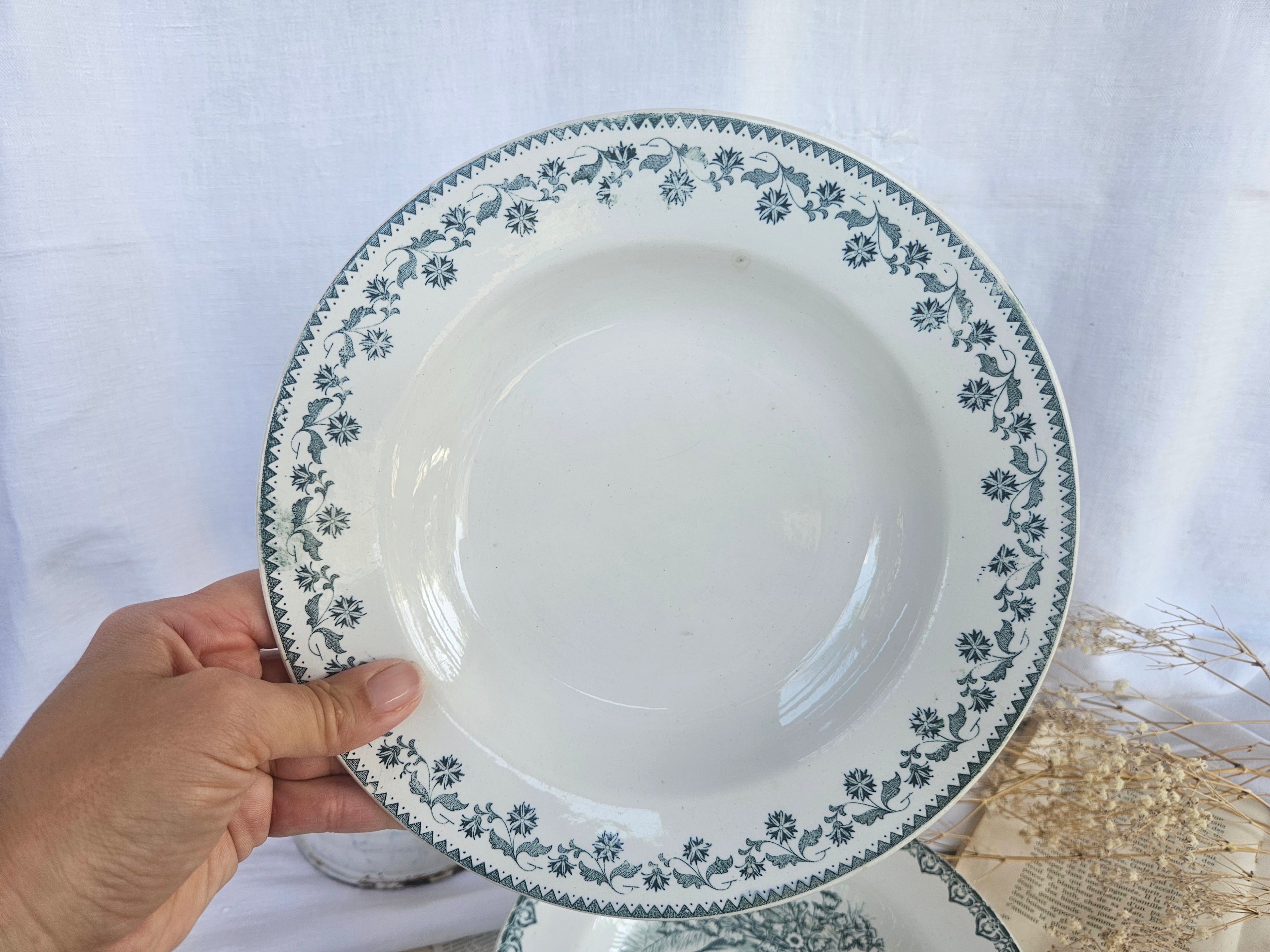 Lot de 3 assiettes creuses anciennes Terre de Fer