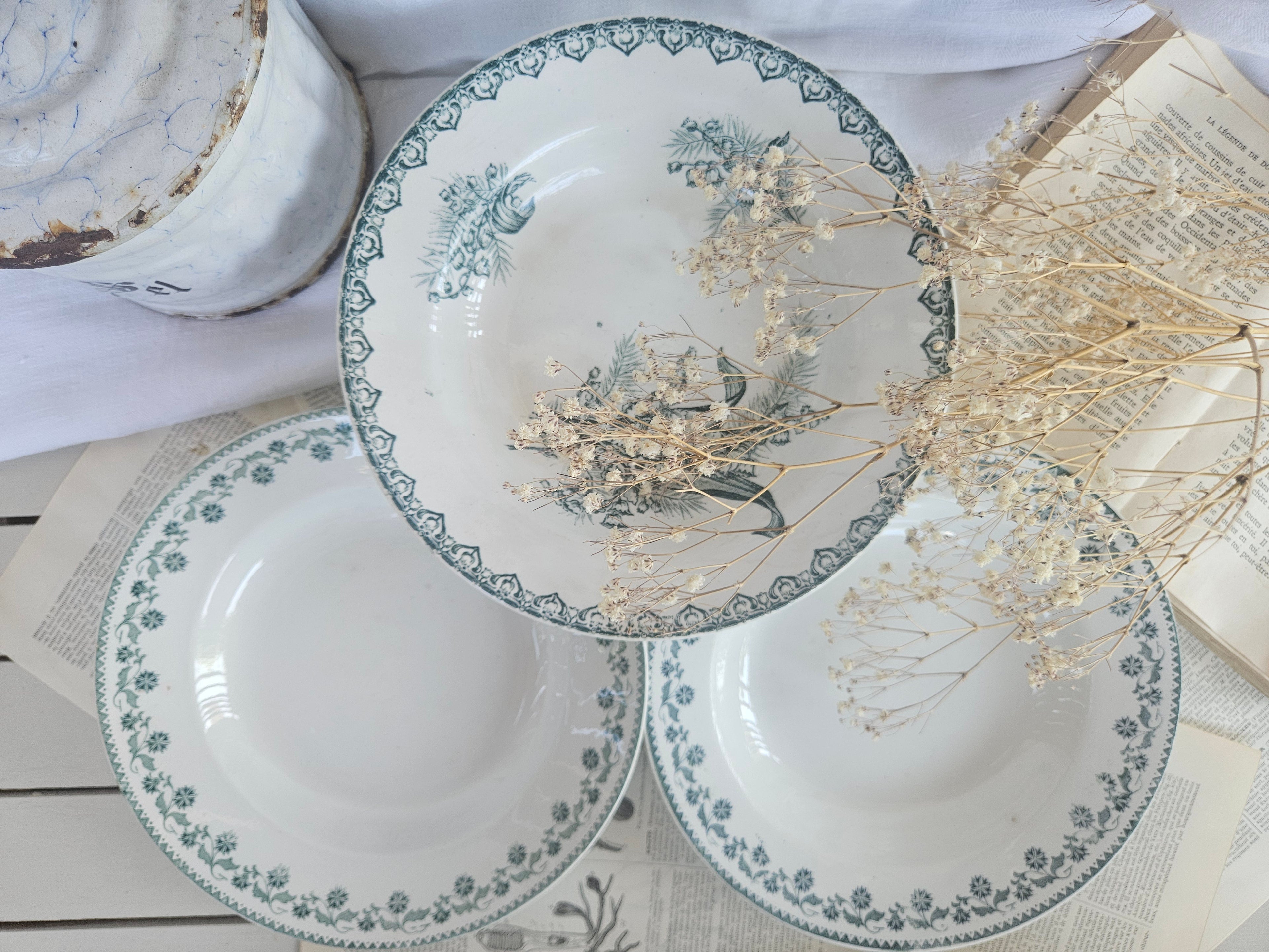 Lot de 3 assiettes creuses anciennes Terre de Fer