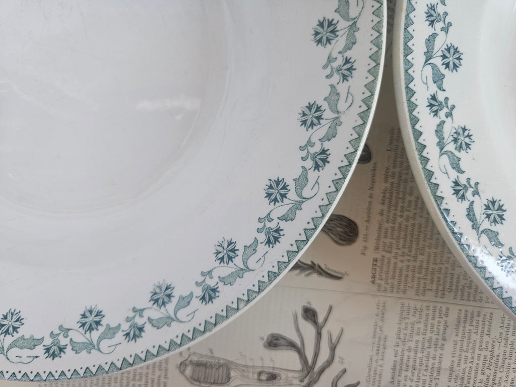 Lot de 3 assiettes creuses anciennes Terre de Fer