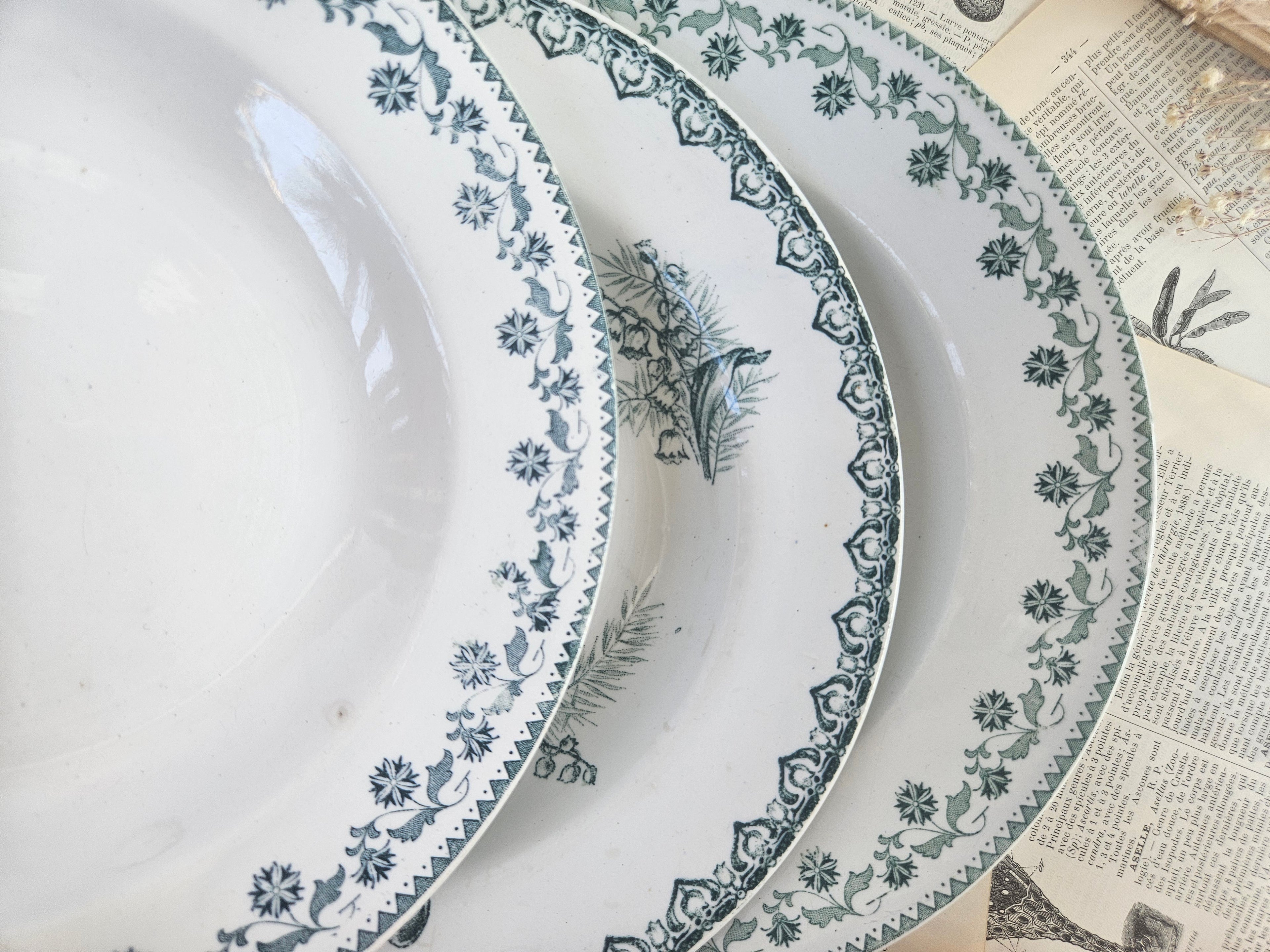 Lot de 3 assiettes creuses anciennes Terre de Fer