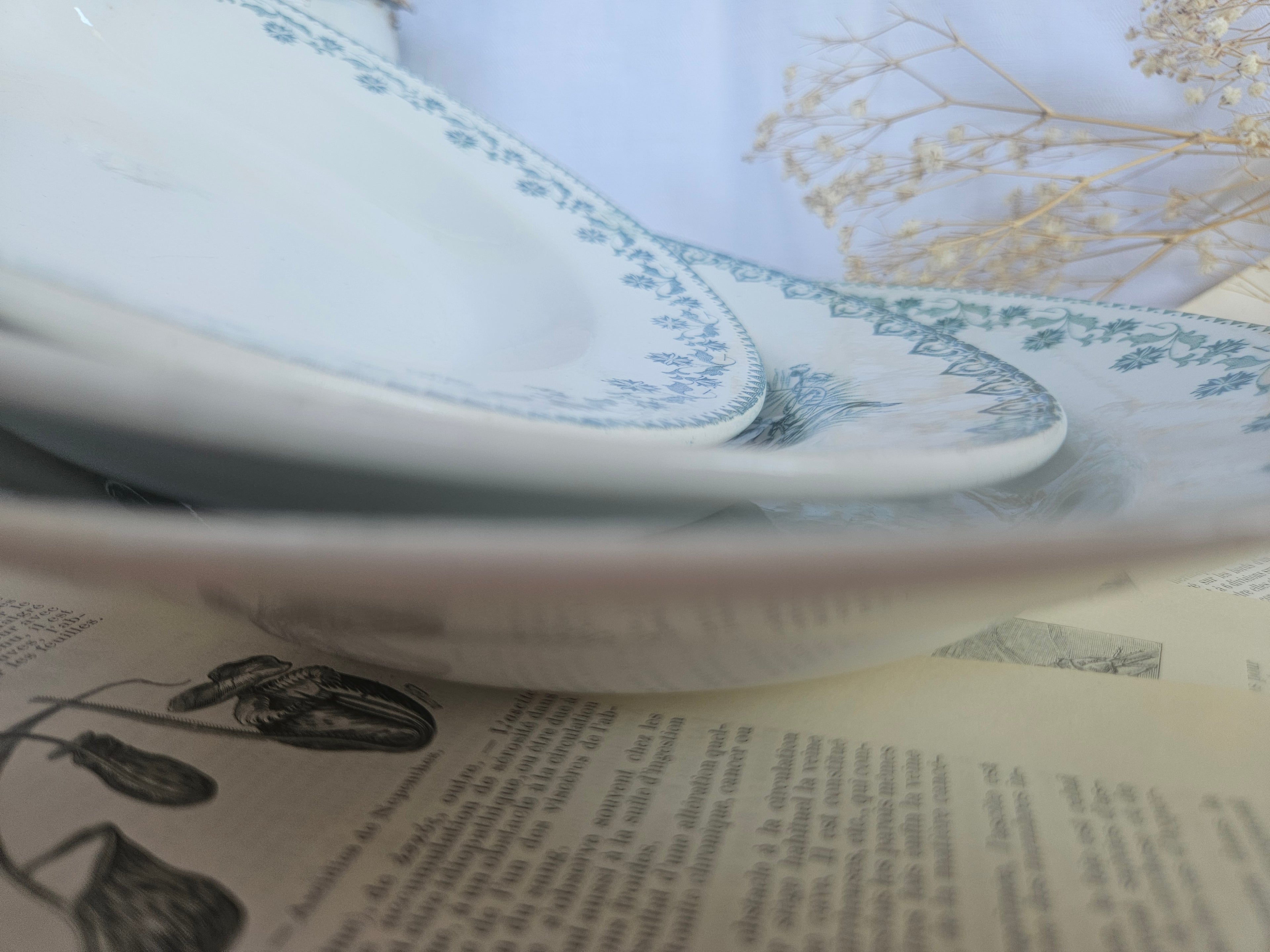 Lot de 3 assiettes creuses anciennes Terre de Fer