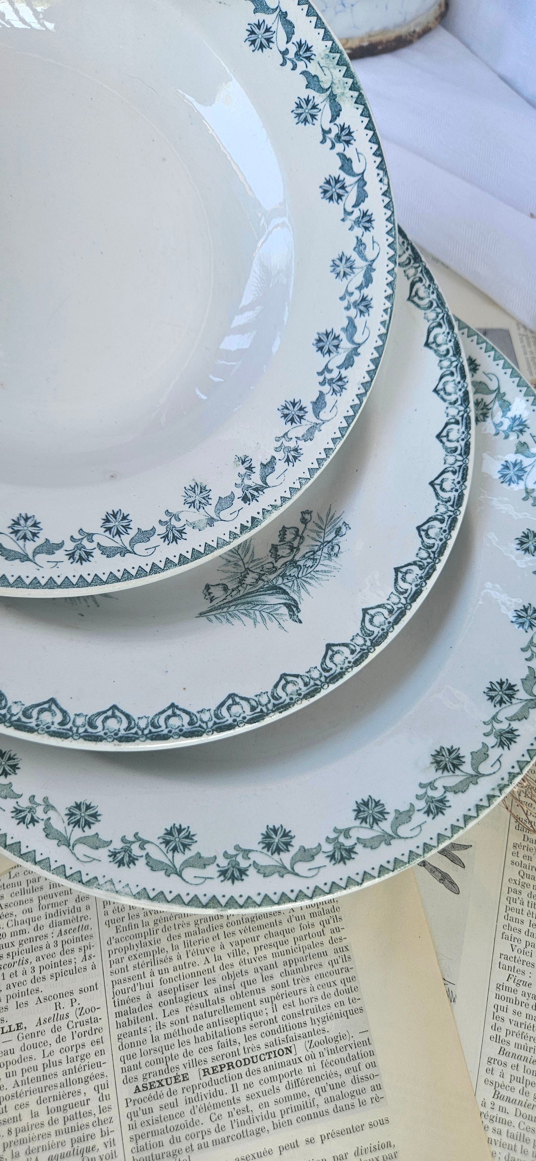 Lot de 3 assiettes creuses anciennes Terre de Fer