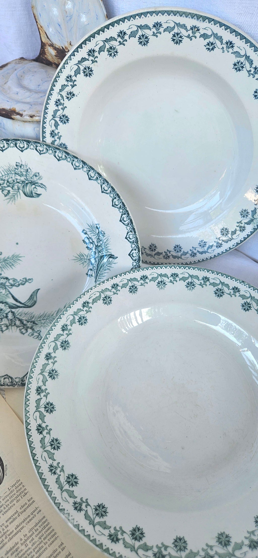 Lot de 3 assiettes creuses anciennes Terre de Fer