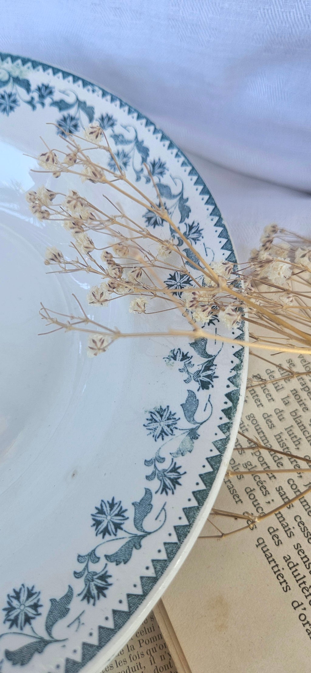 Lot de 3 assiettes creuses anciennes Terre de Fer
