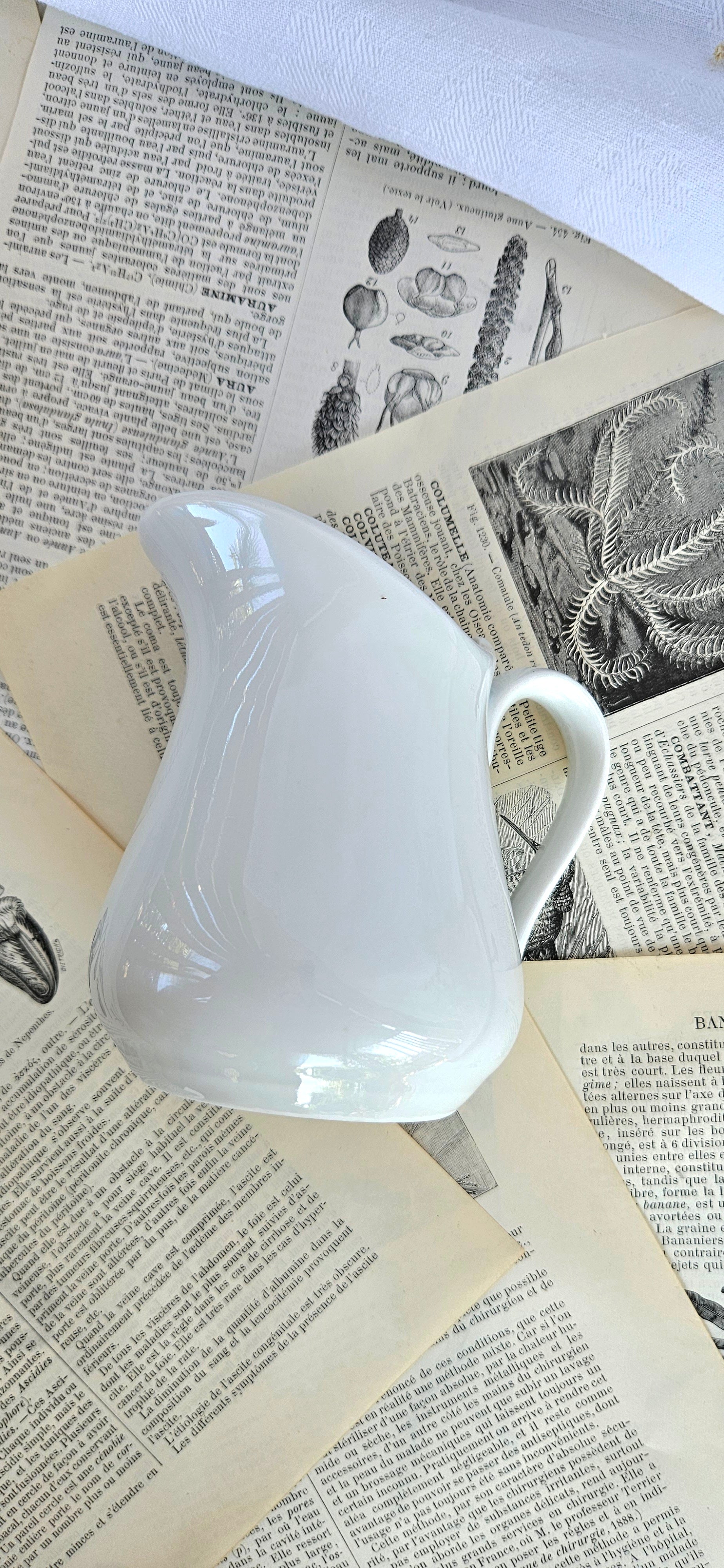 Pot à lait Chauvigny FD France en porcelaine blanche