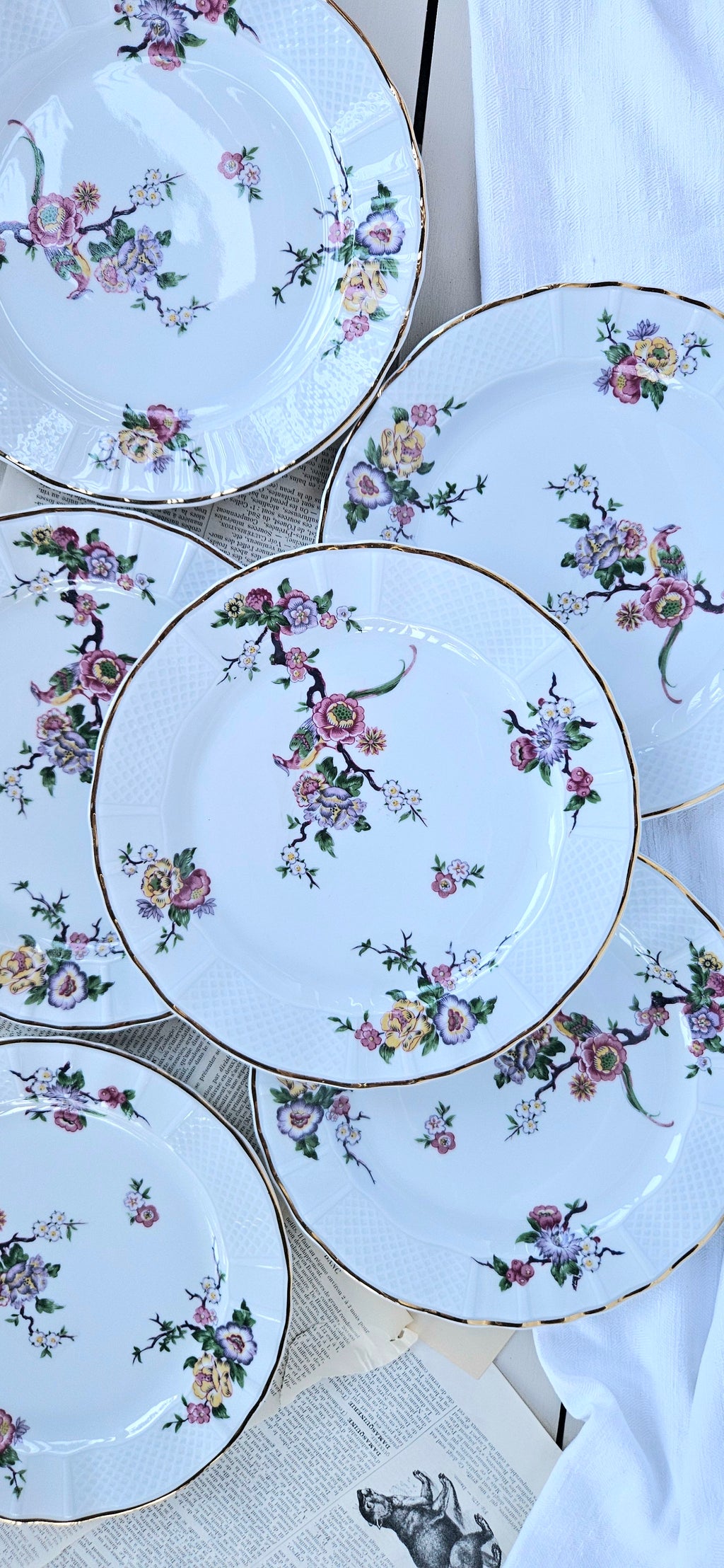 6 assiettes à dessert Bernardaud Limoges