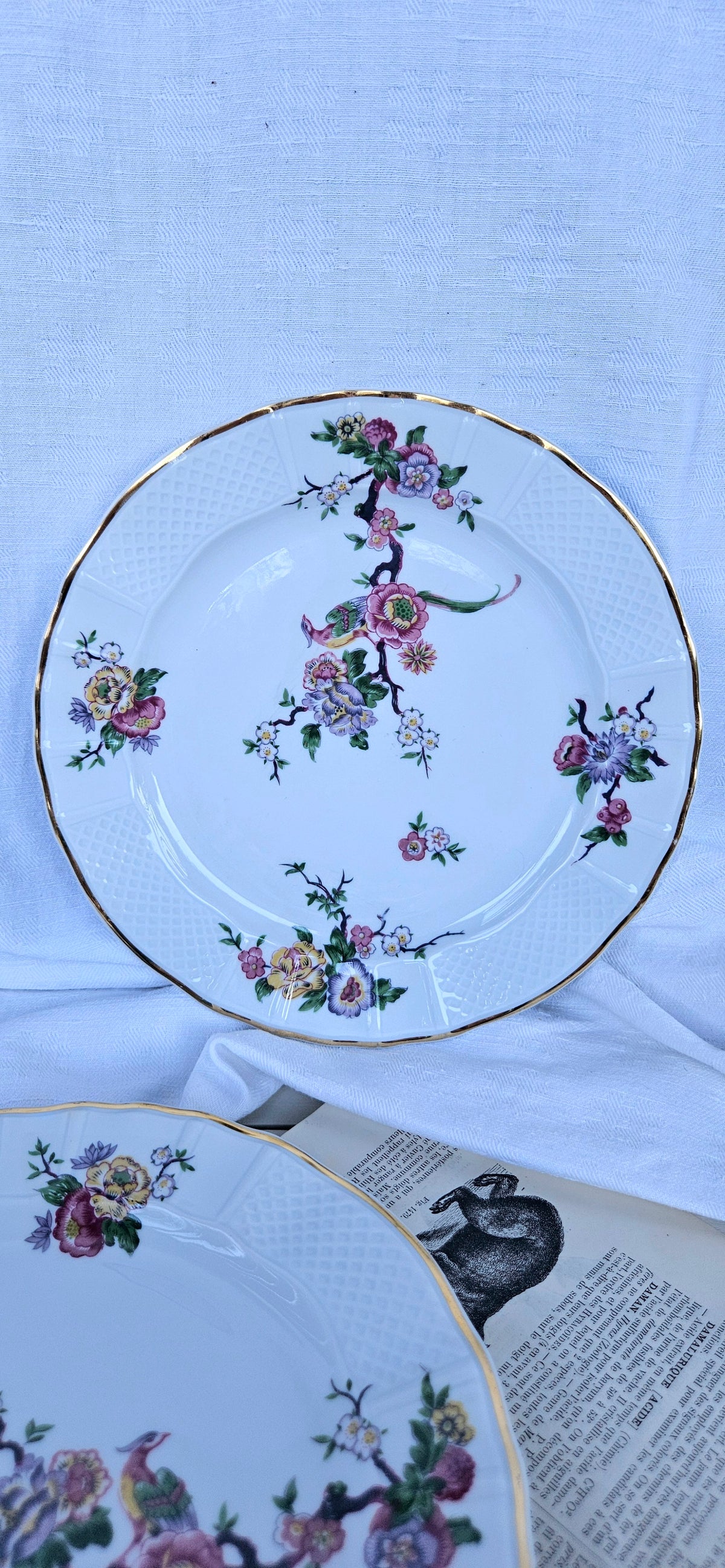 6 assiettes à dessert Bernardaud Limoges