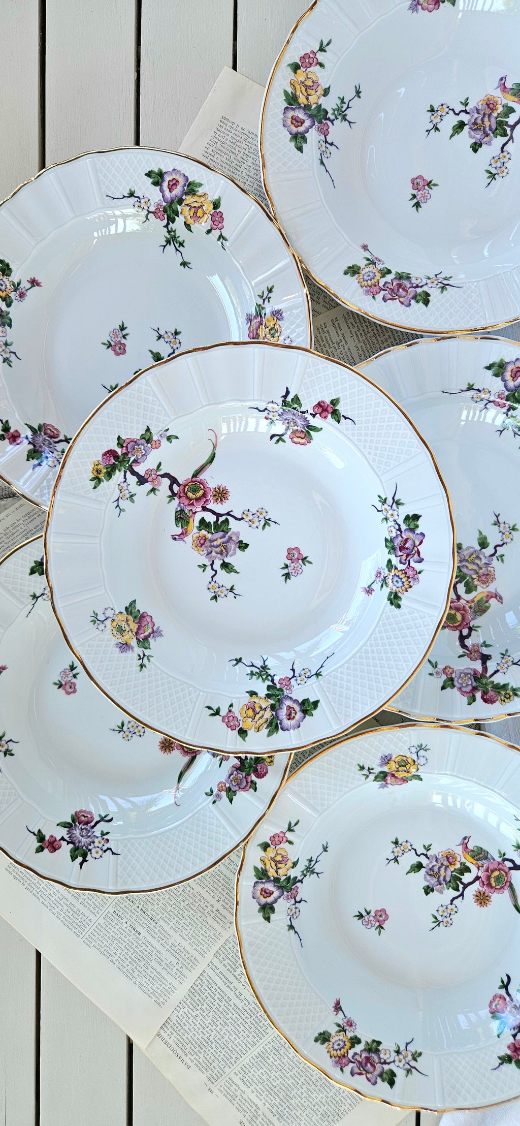 Lot de 6 assiettes creuses Bernardaud Limoges Bengali