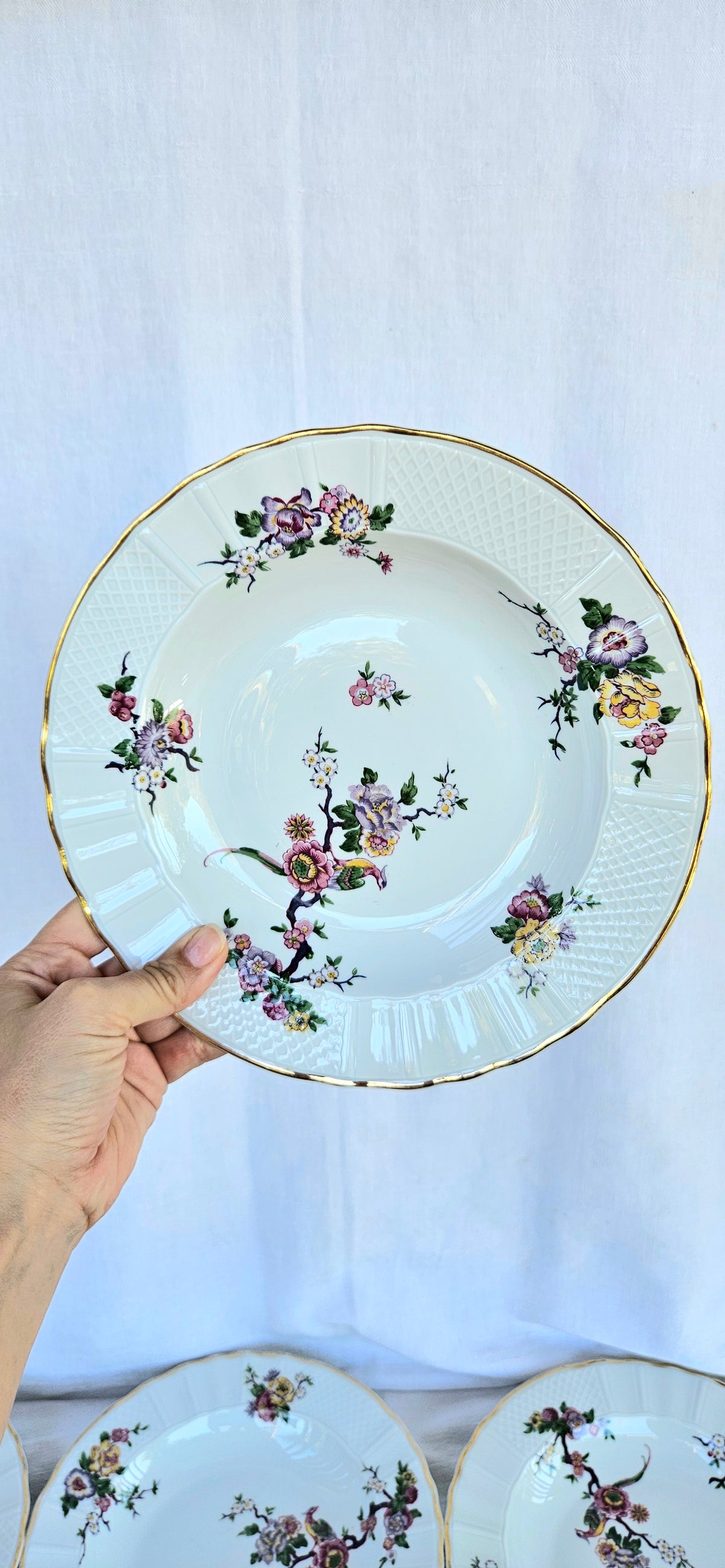 Lot de 6 assiettes creuses Bernardaud Limoges Bengali