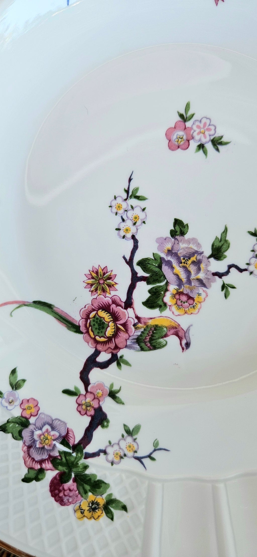 Lot de 6 assiettes creuses Bernardaud Limoges Bengali