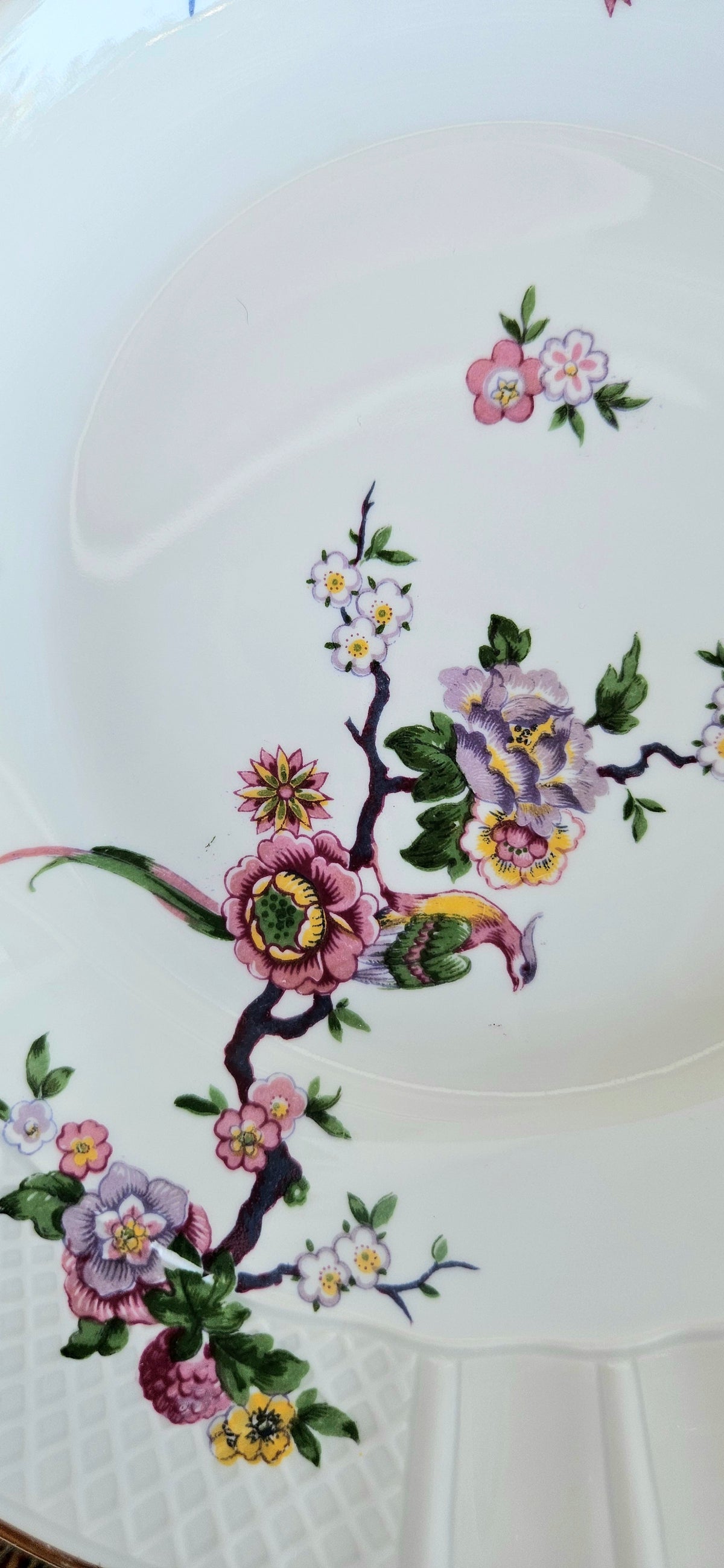 Lot de 6 assiettes creuses Bernardaud Limoges Bengali