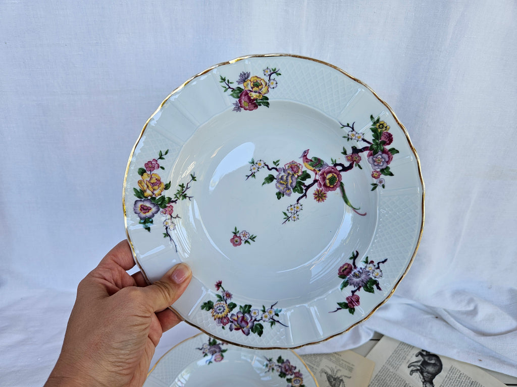 Lot de 6 assiettes creuses Bernardaud Limoges Bengali