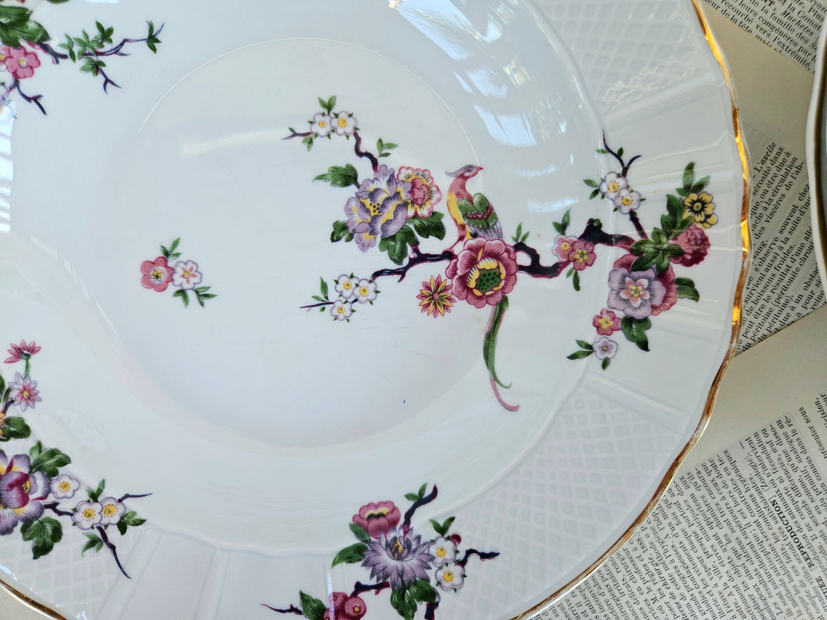 Lot de 6 assiettes creuses Bernardaud Limoges Bengali