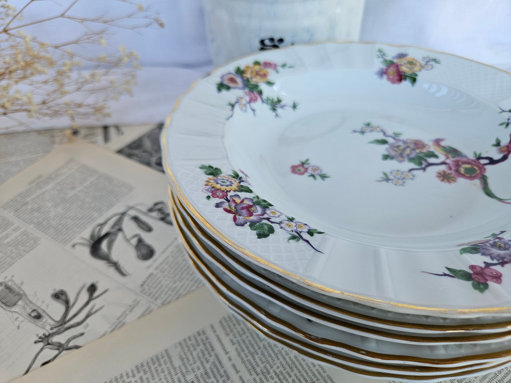 Lot de 6 assiettes creuses Bernardaud Limoges Bengali