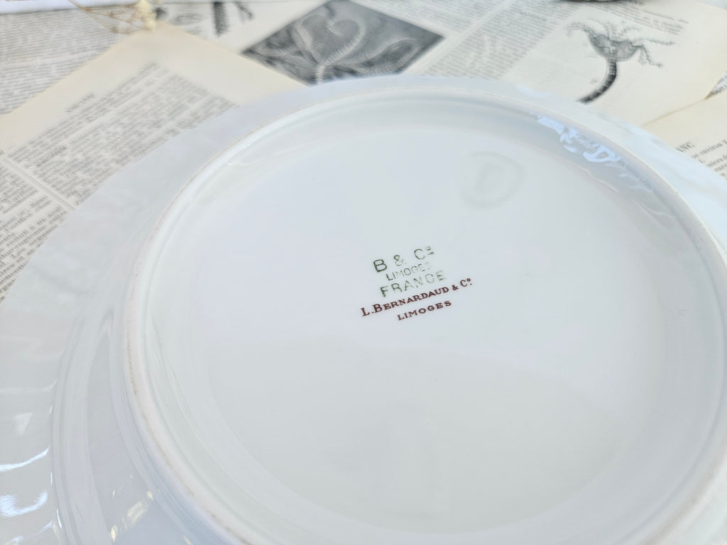 Lot de 6 assiettes creuses Bernardaud Limoges Bengali