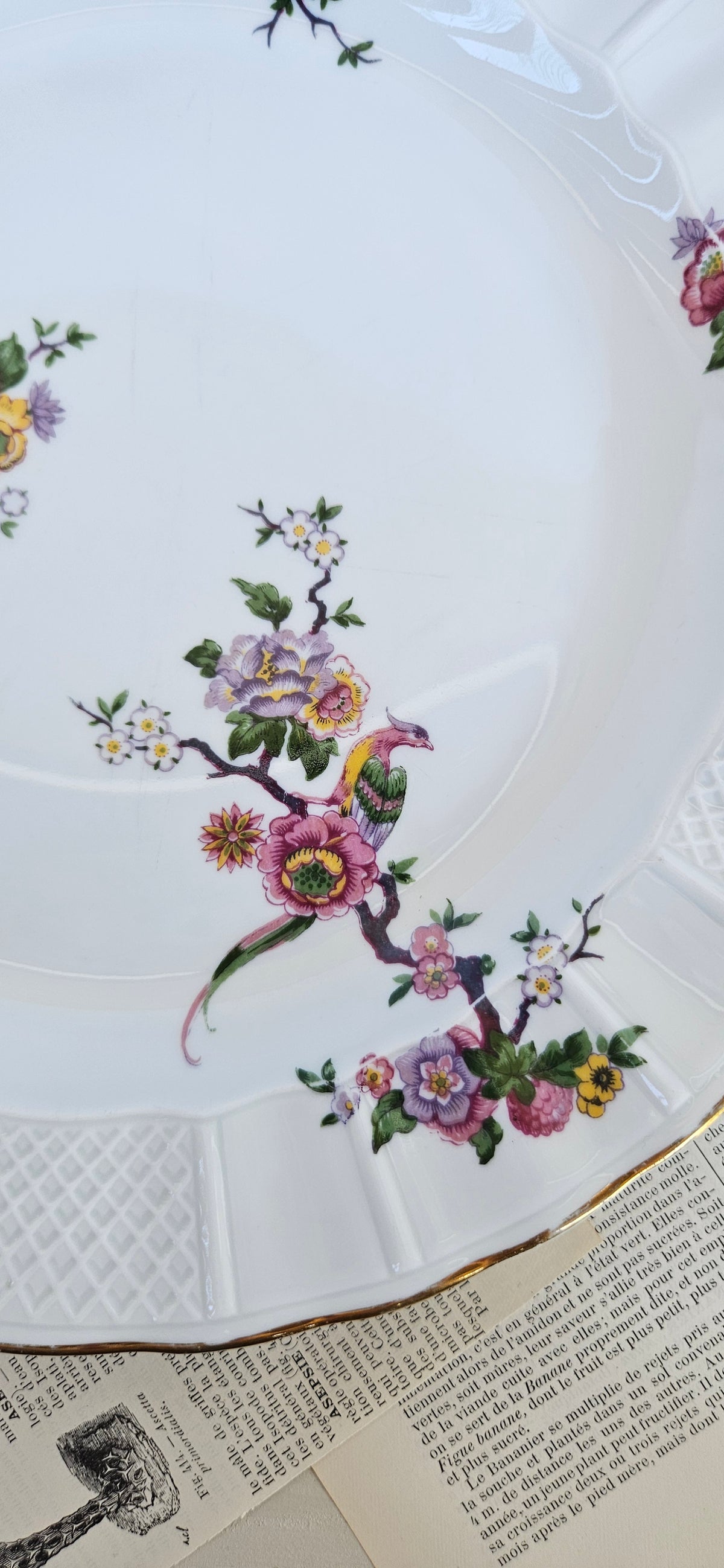 Plat de service rond Bernardaud Limoges Bengali 28,5 cm