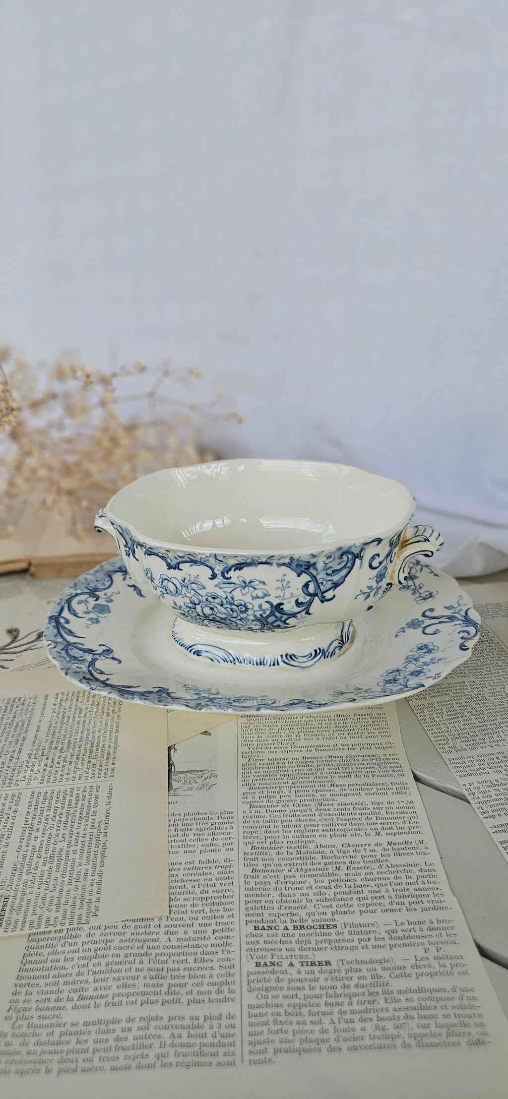 Saucière ancienne Sarreguemines modèle Fleury