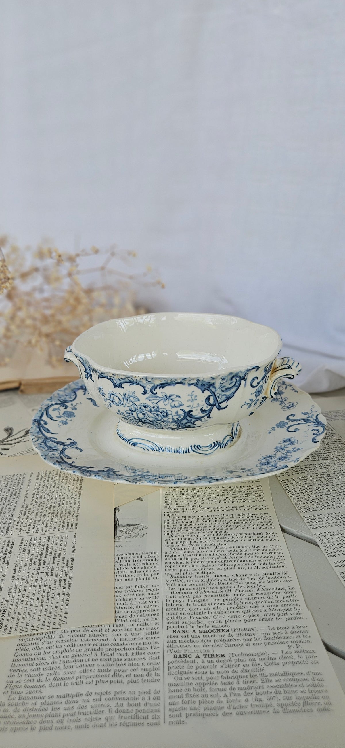 Saucière ancienne Sarreguemines modèle Fleury