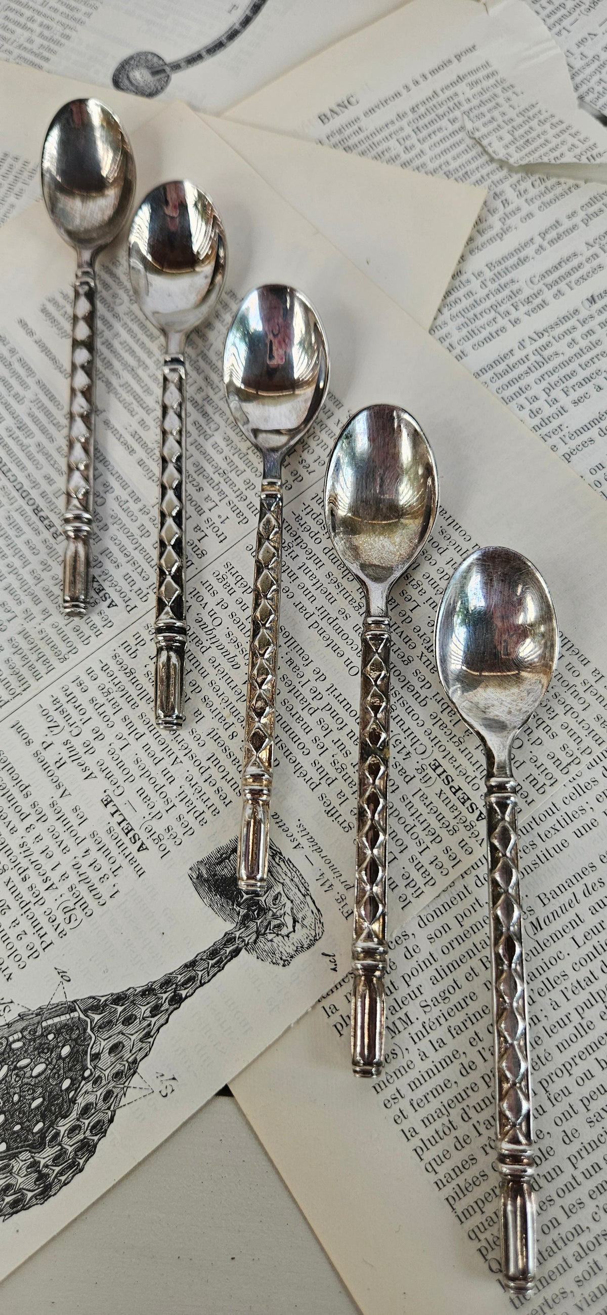 Lot de 5 petites cuillères anciennes en métal argenté