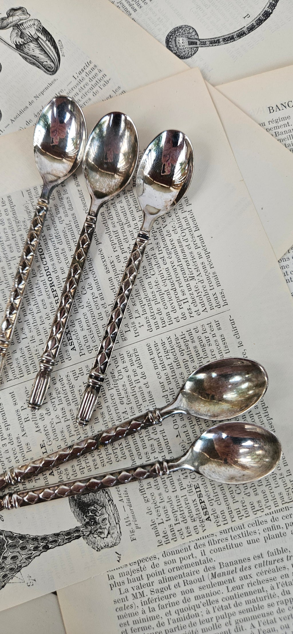 Lot de 5 petites cuillères anciennes en métal argenté