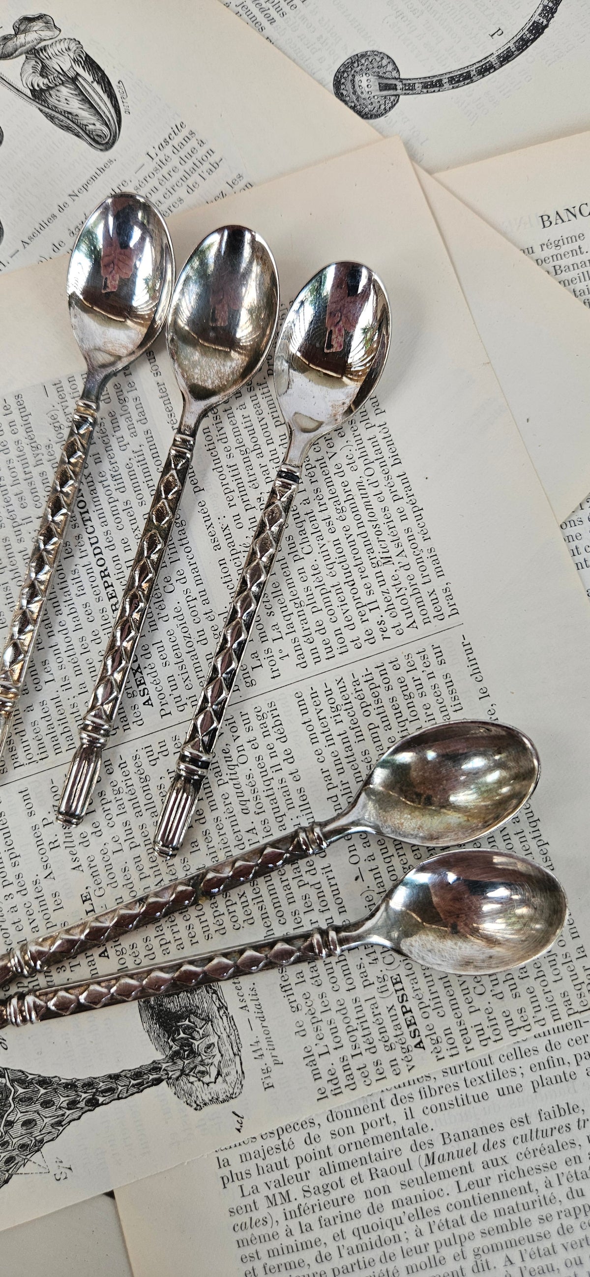 Lot de 5 petites cuillères anciennes en métal argenté