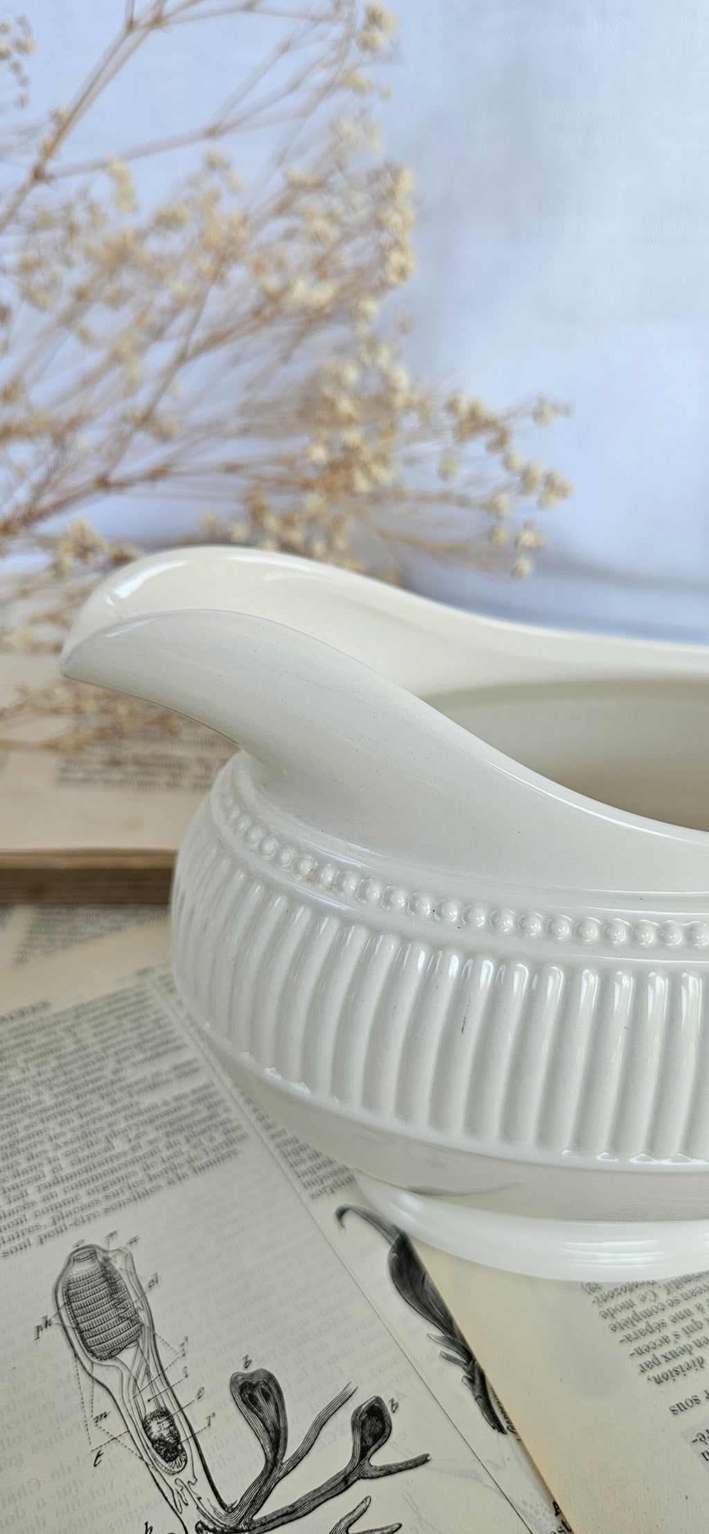 Saucière Wedgwood Windsor en faïence blanche côtelée