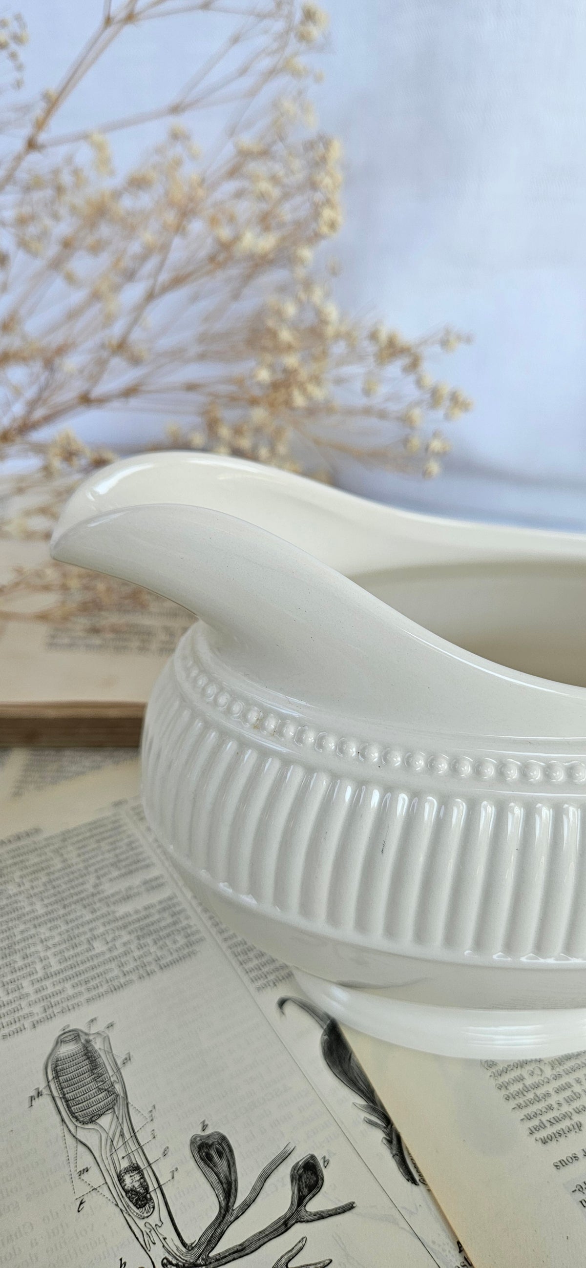 Saucière Wedgwood Windsor en faïence blanche côtelée
