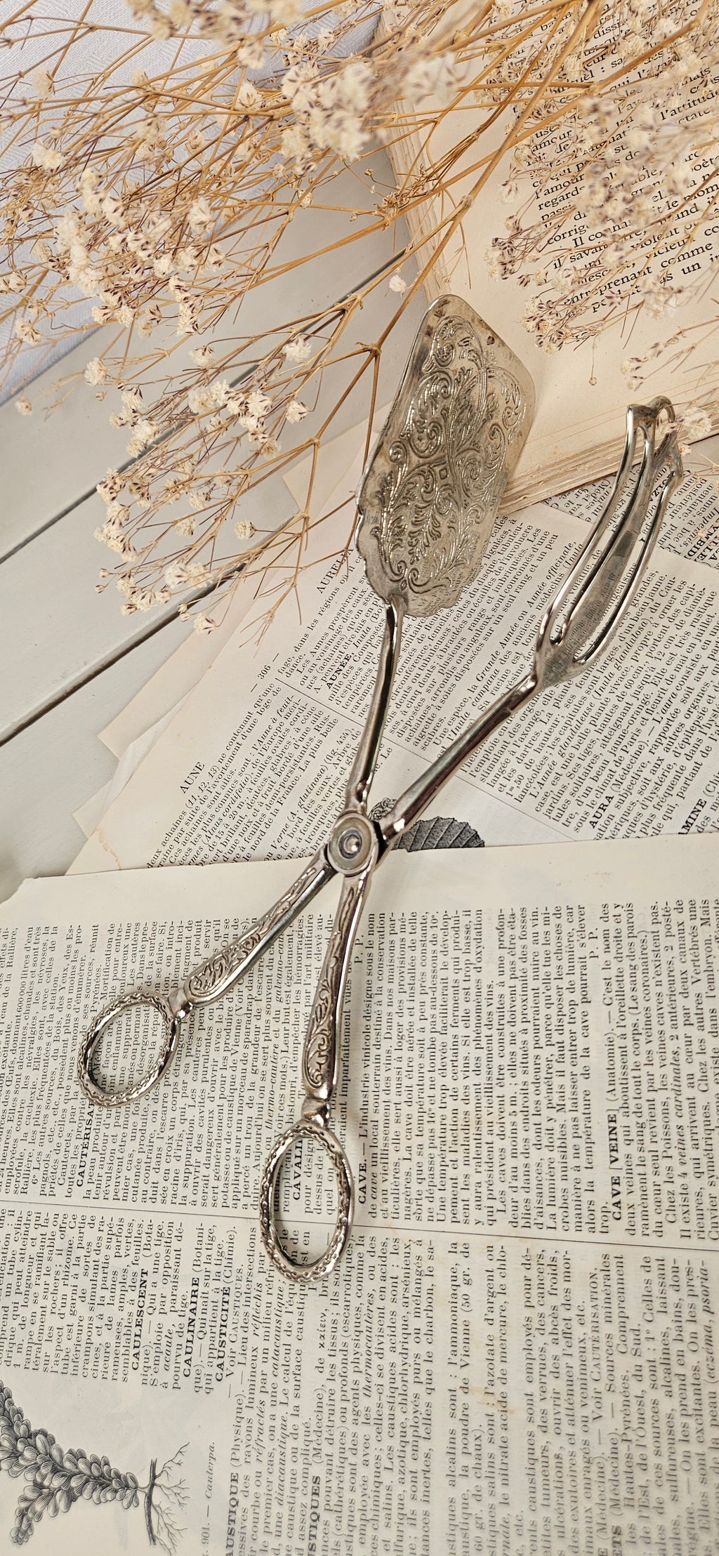 Pince à gâteaux ancienne en métal argenté