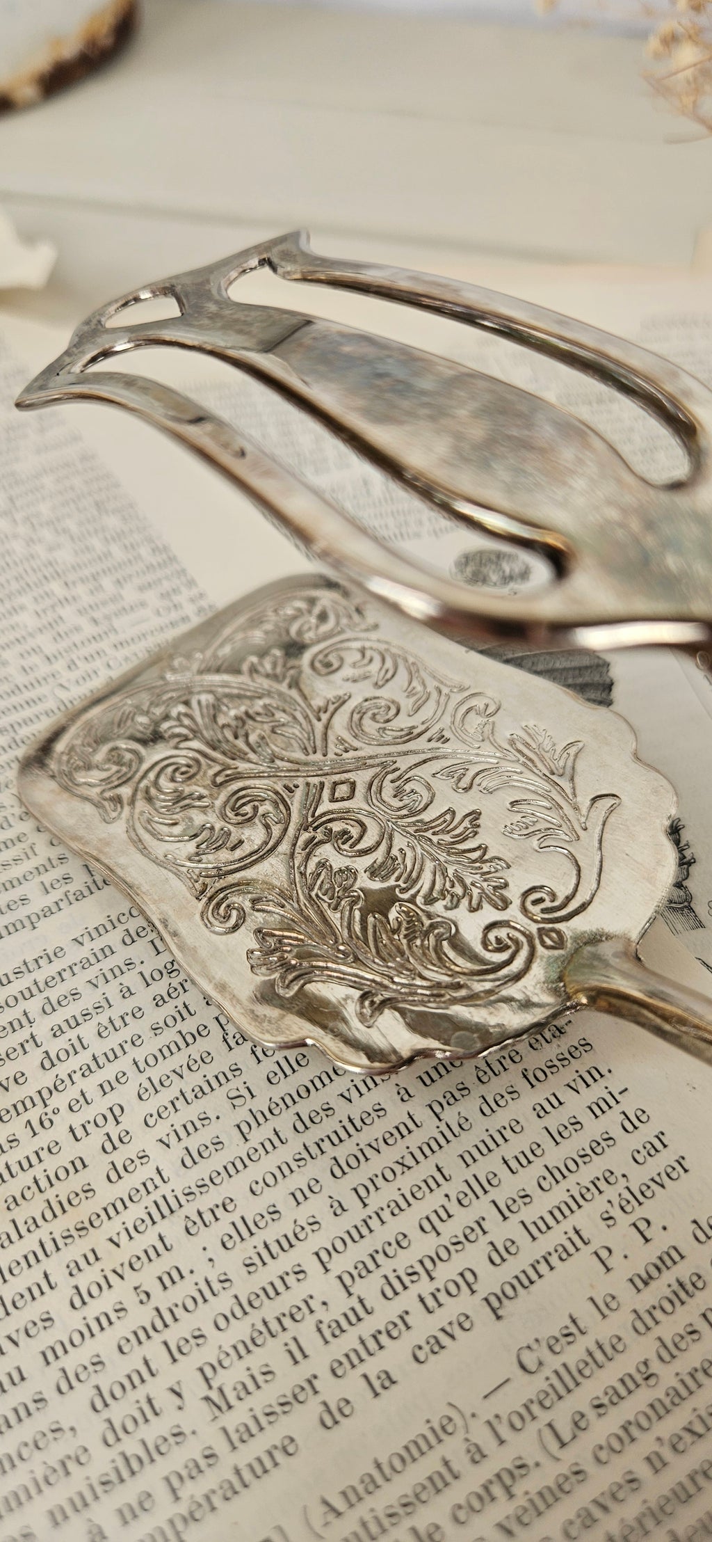 Pince à gâteaux ancienne en métal argenté