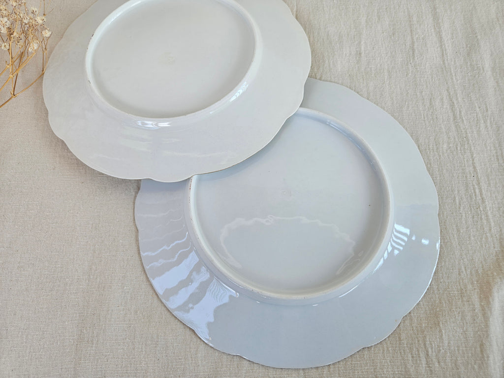 Assiette ancienne 22 cm en porcelaine blanche – décor floral polychrome et bord doré