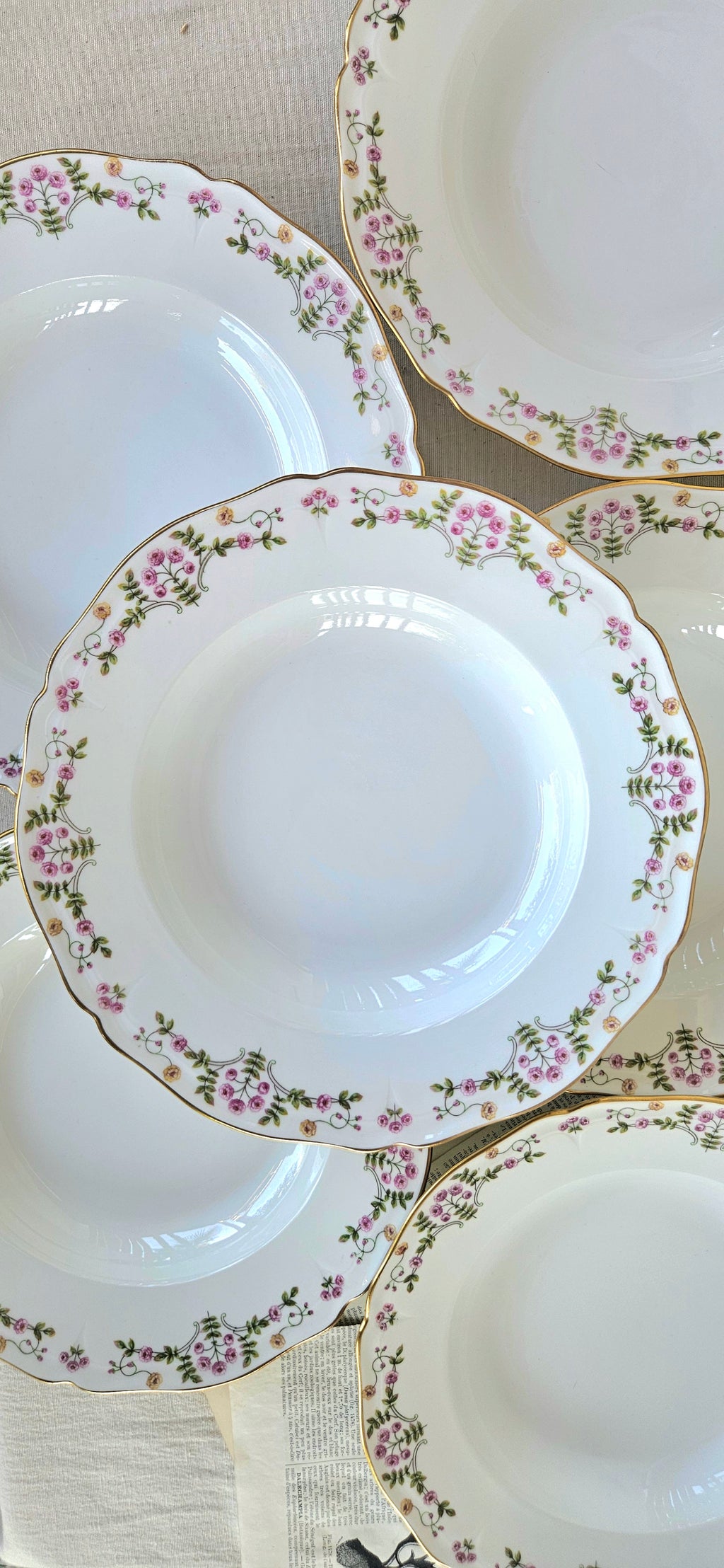 6 Assiettes creuses en porcelaine de Limoges