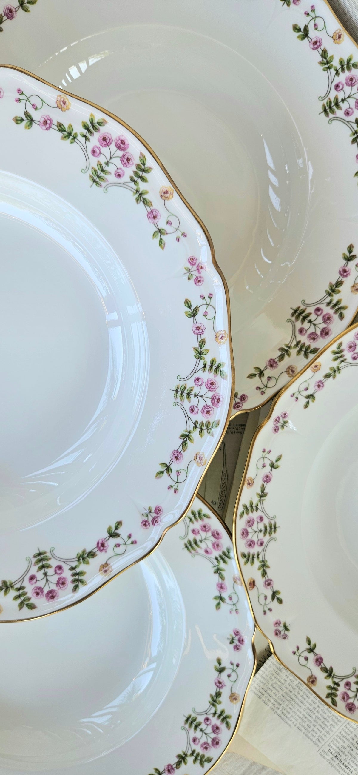 6 Assiettes creuses en porcelaine de Limoges