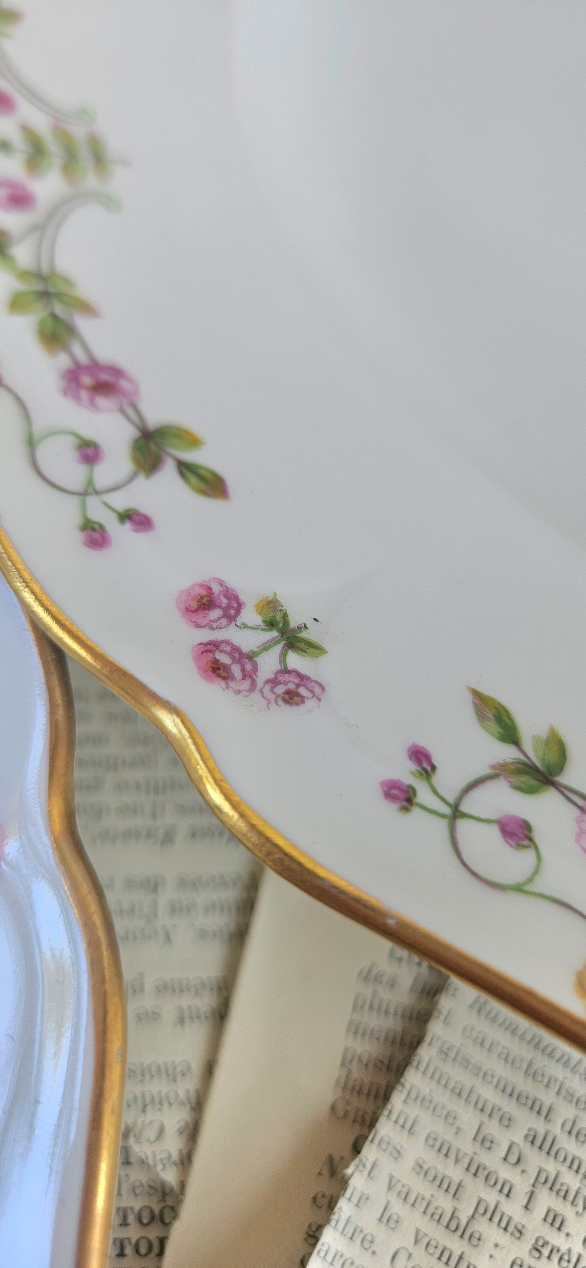 6 Assiettes creuses en porcelaine de Limoges