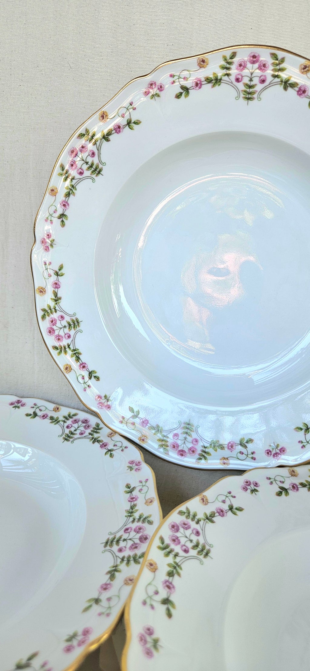 6 Assiettes creuses en porcelaine de Limoges