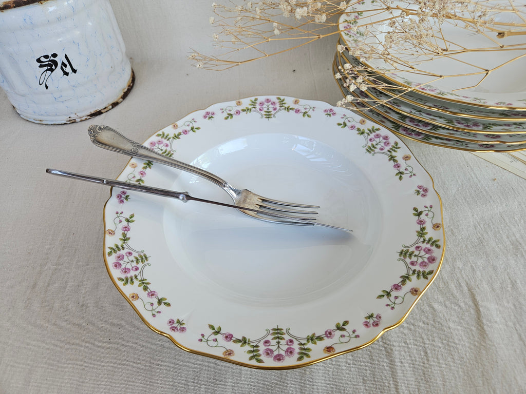 6 Assiettes creuses en porcelaine de Limoges