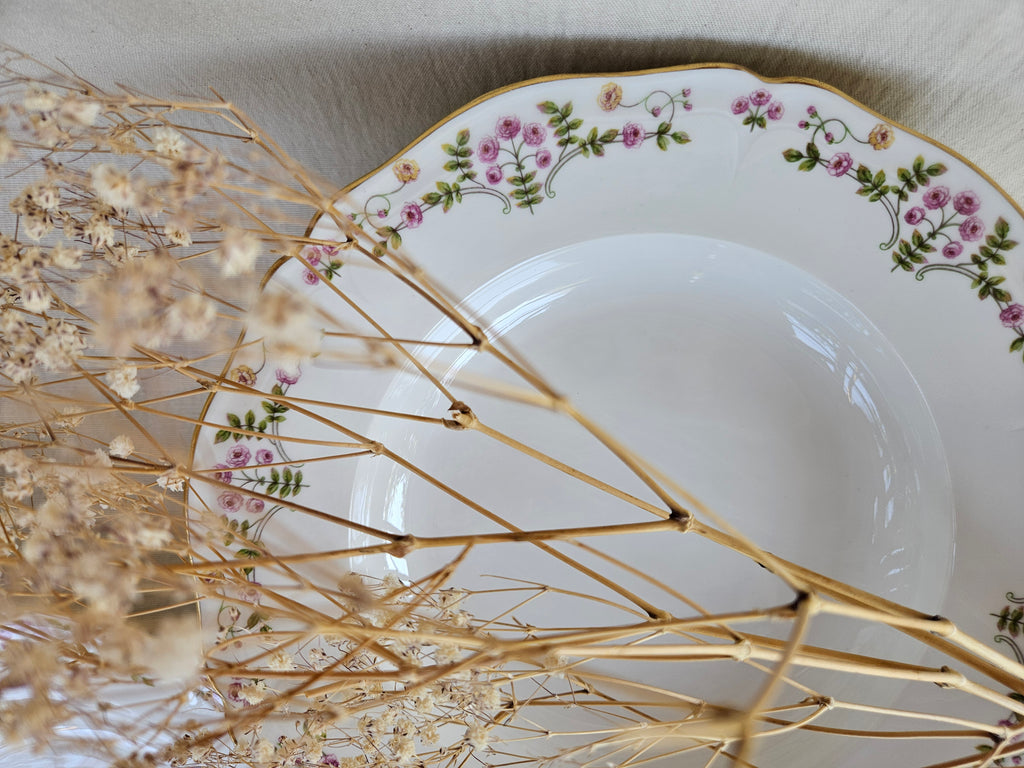 6 Assiettes creuses en porcelaine de Limoges
