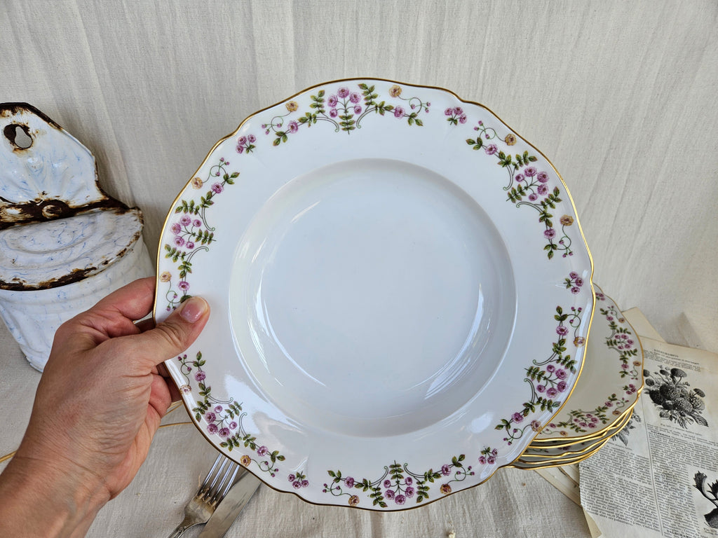 6 Assiettes creuses en porcelaine de Limoges