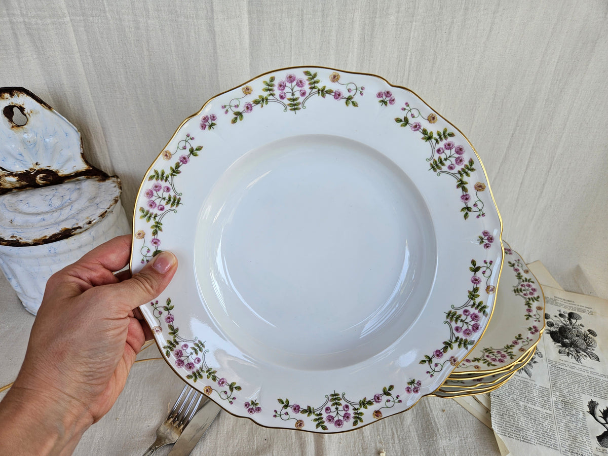 6 Assiettes creuses en porcelaine de Limoges